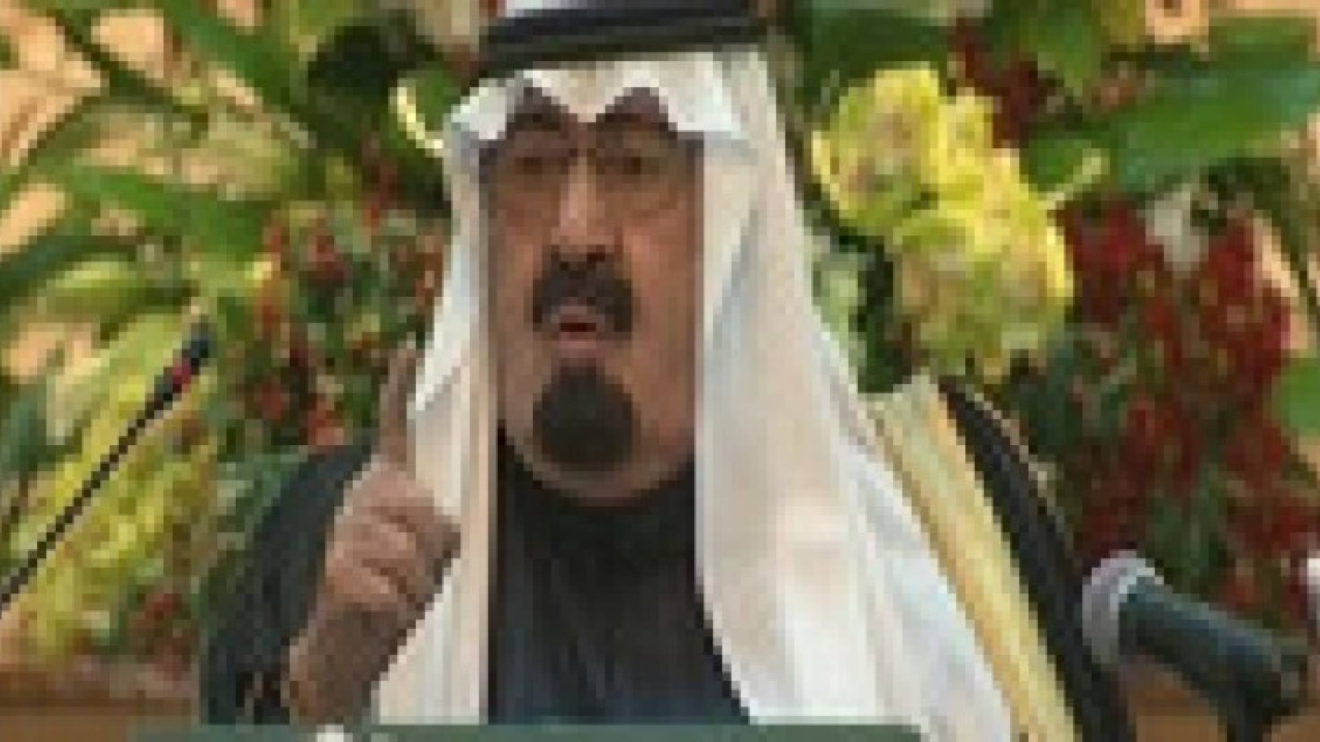 العاهل السعودي يأمر بحماية بلاده من الإرهاب