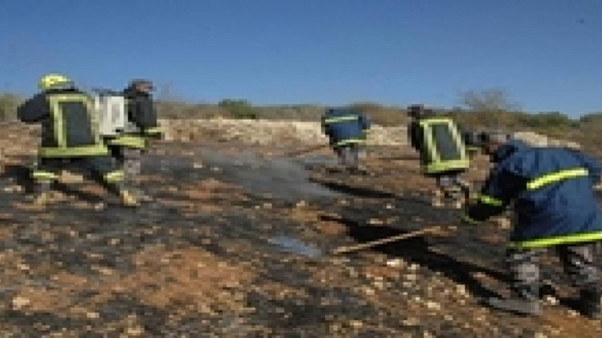 حريق في غابات دبين