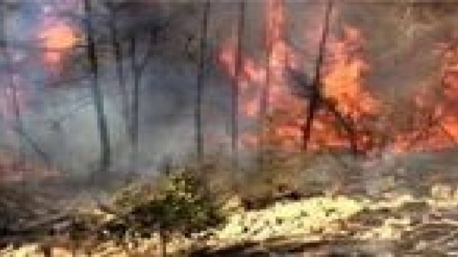 حريق ضخم في القدس الغربية