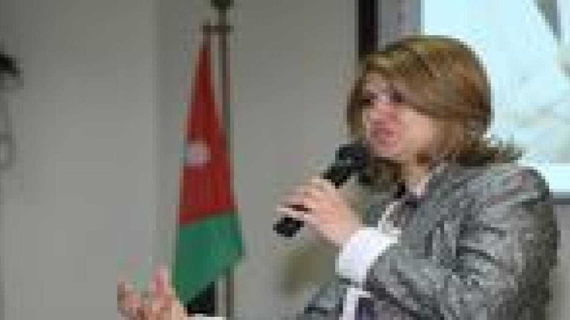 النائب الحروب تدعو إلى قانون انتخاب جديد