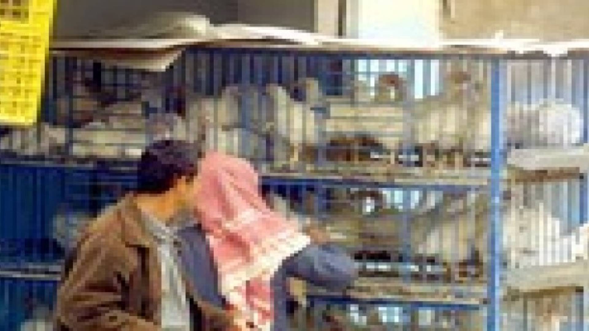 الكرك: مطالبة بإغلاق نتافات الدواجن وسط المدينة