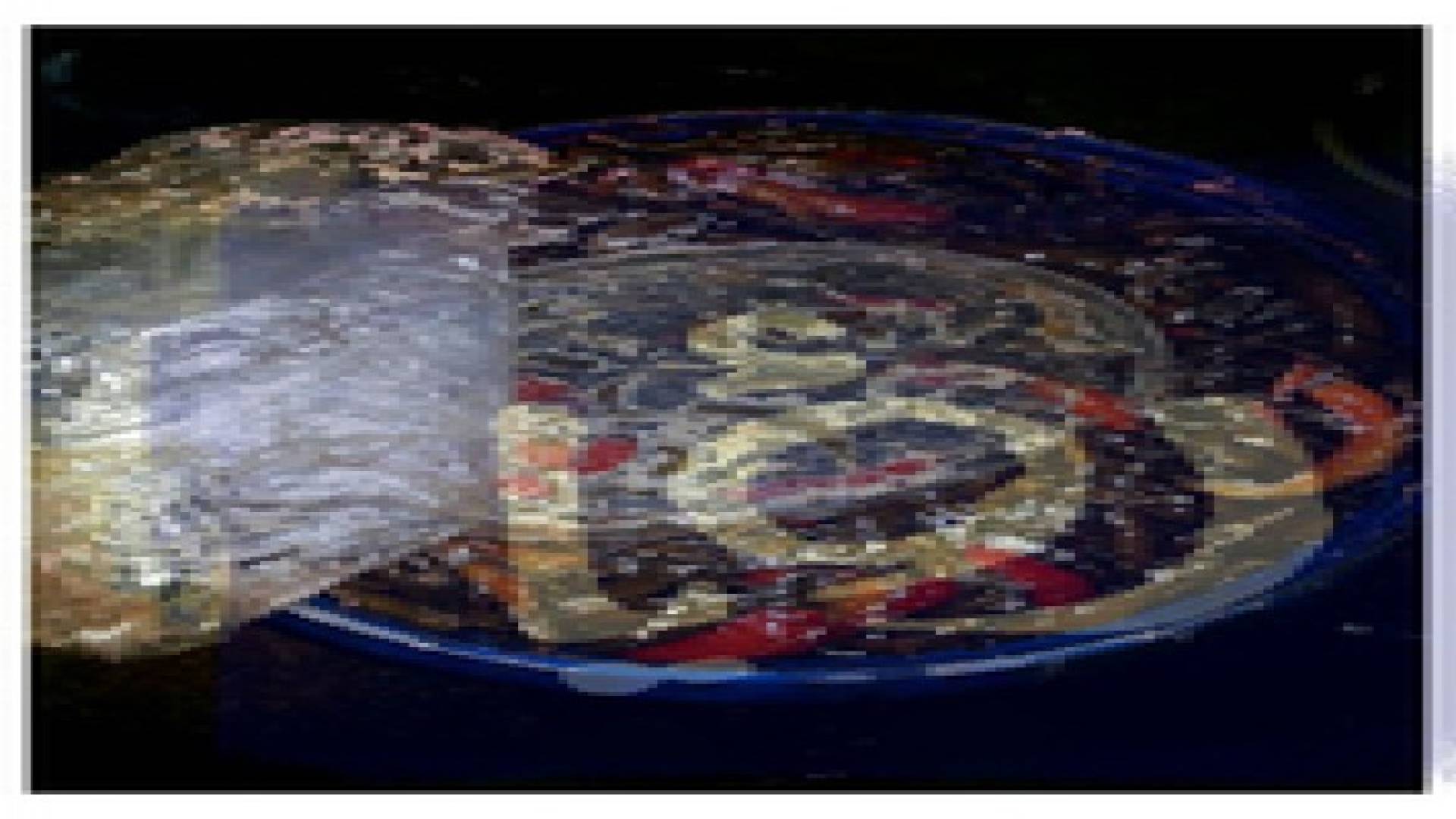 ضبط 50.8 طن مخللات فاسدة شمال المملكة .. صور