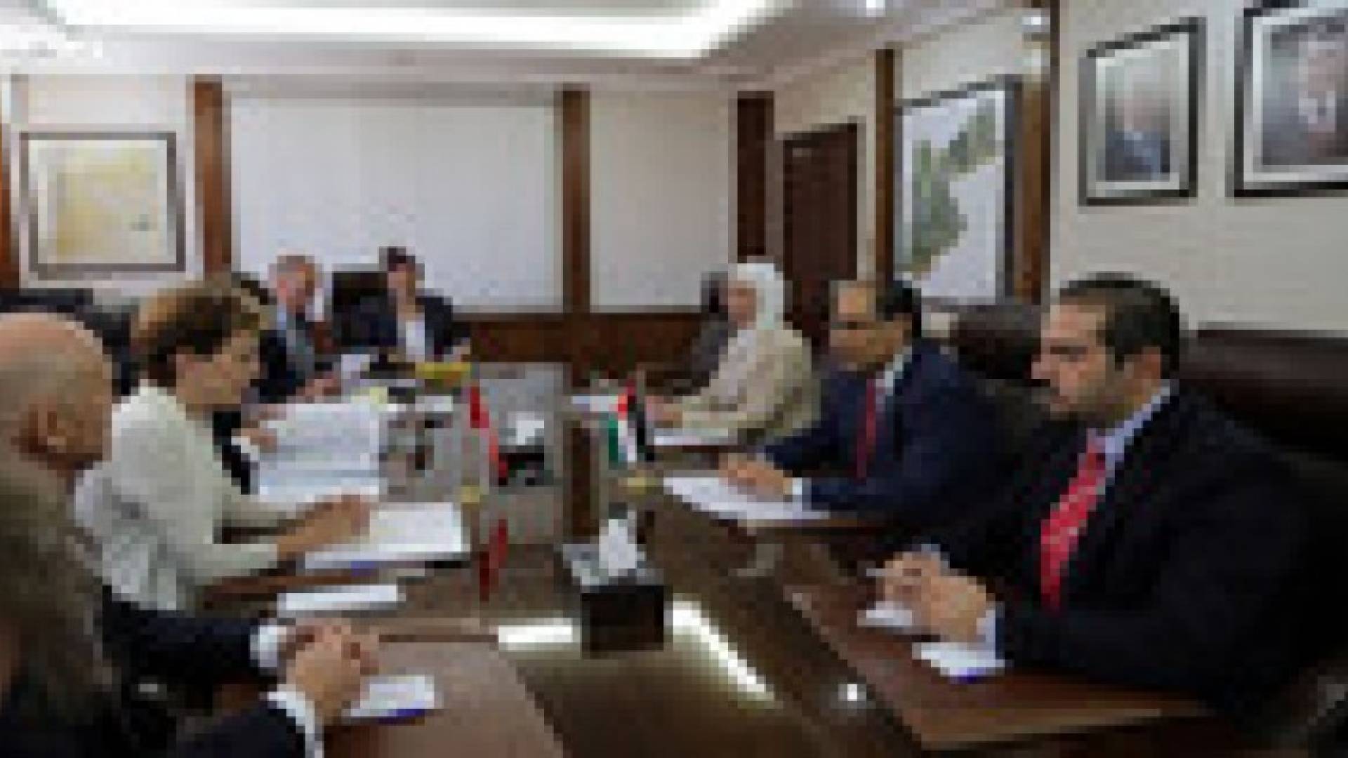 وزير التخطيط يستقبل رئيس الدائرة الفدرالية السويسرية