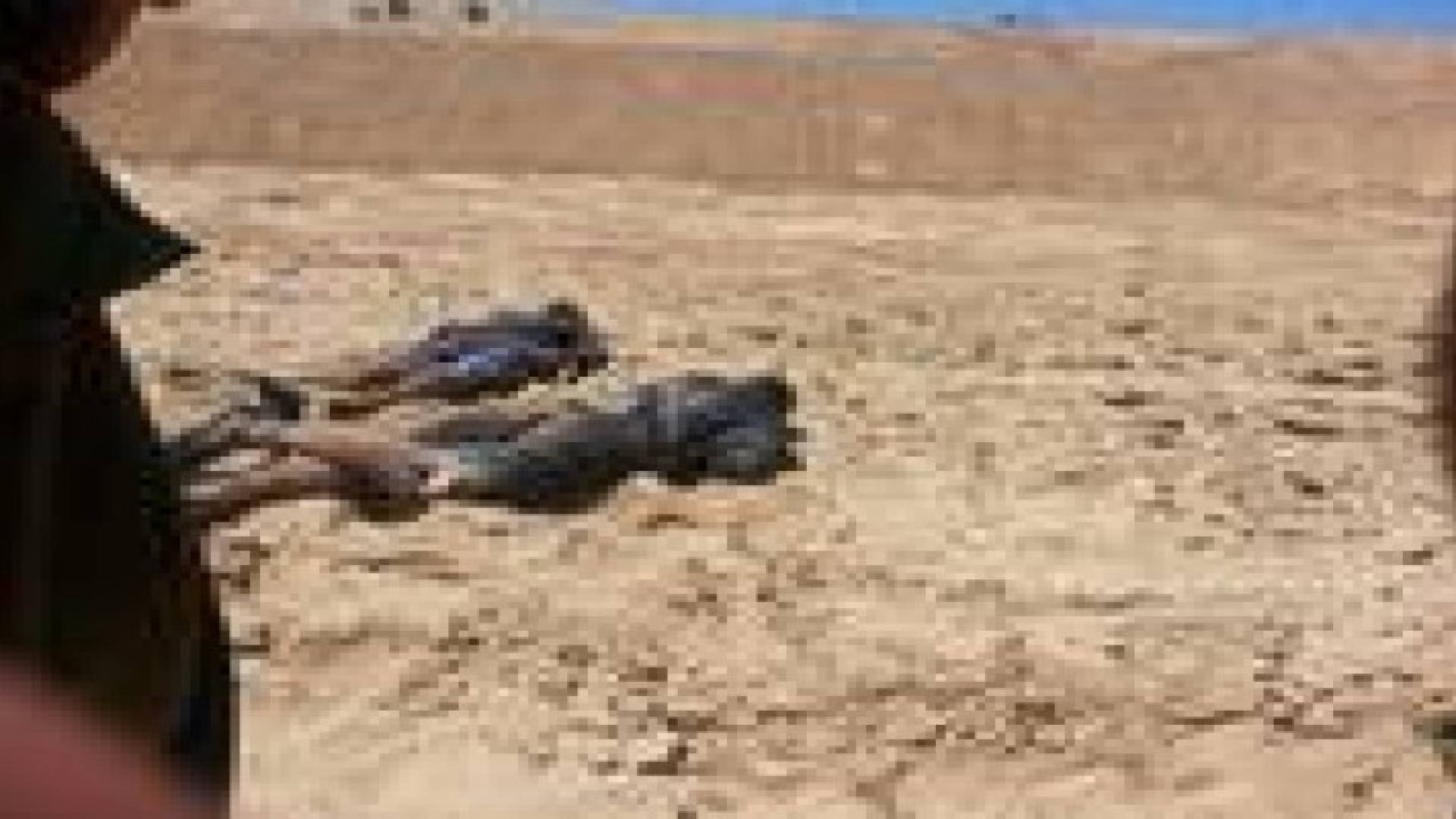الاحتلال ينشر صور " كوماندوز القسام "