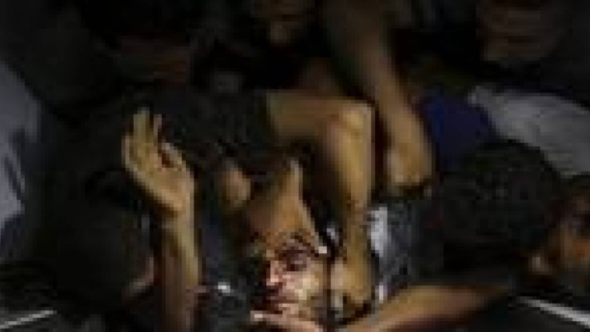 ارتفاع شهداء العدوان الإسرائيلي على غزة إلى 186 شهيدا و1390 جريحا