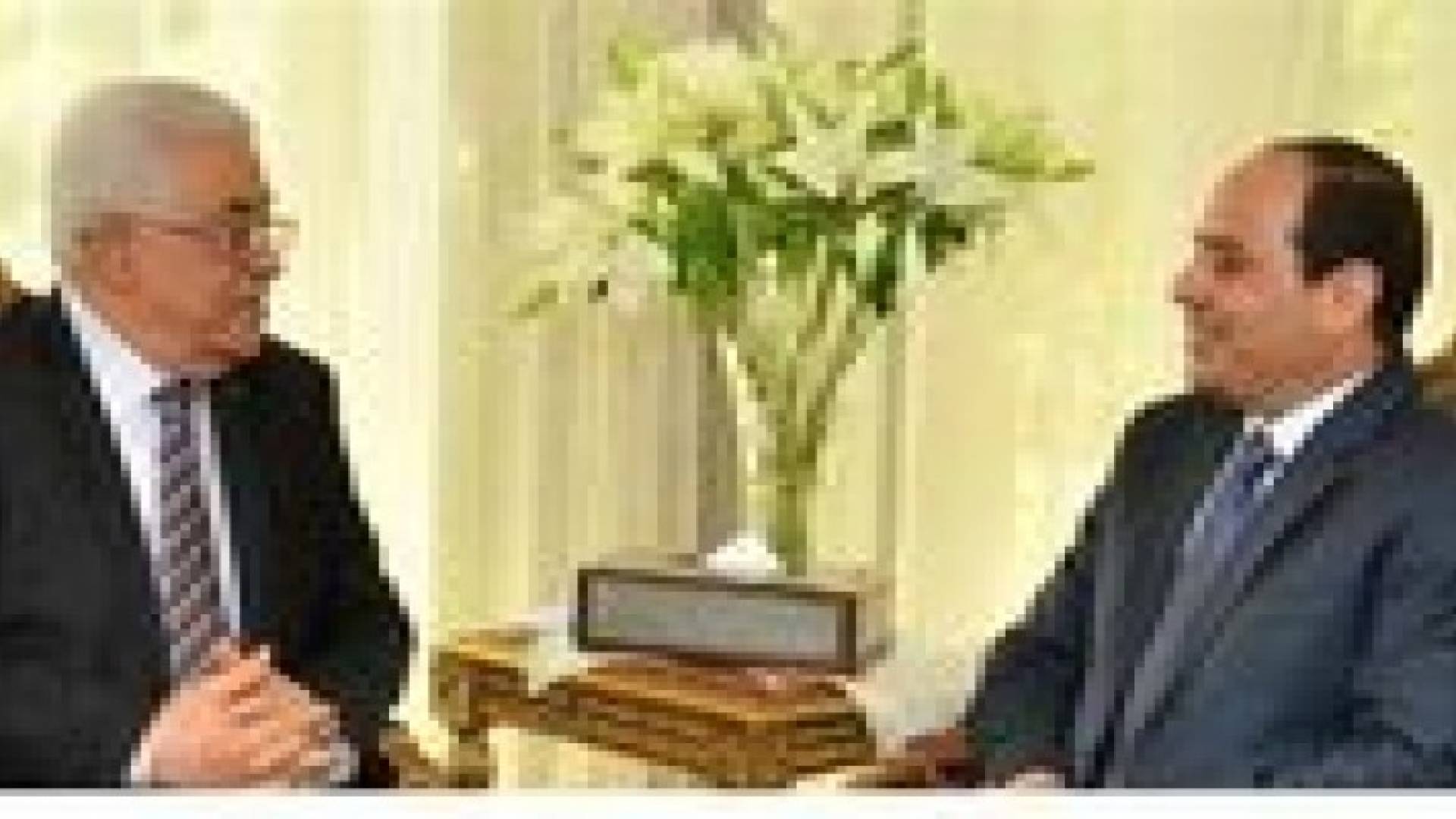 عباس يلتقي السيسي في القاهرة للتشاور حول التهدئة