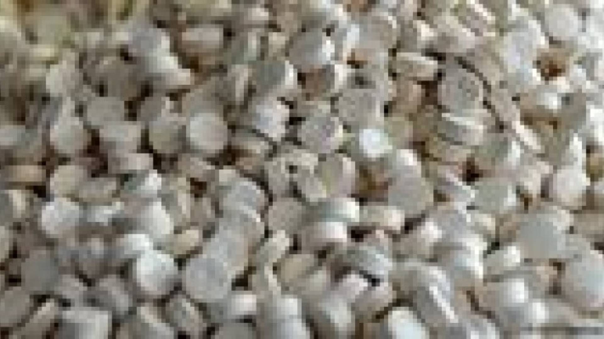 ضبط مليون حبة مخدرة
