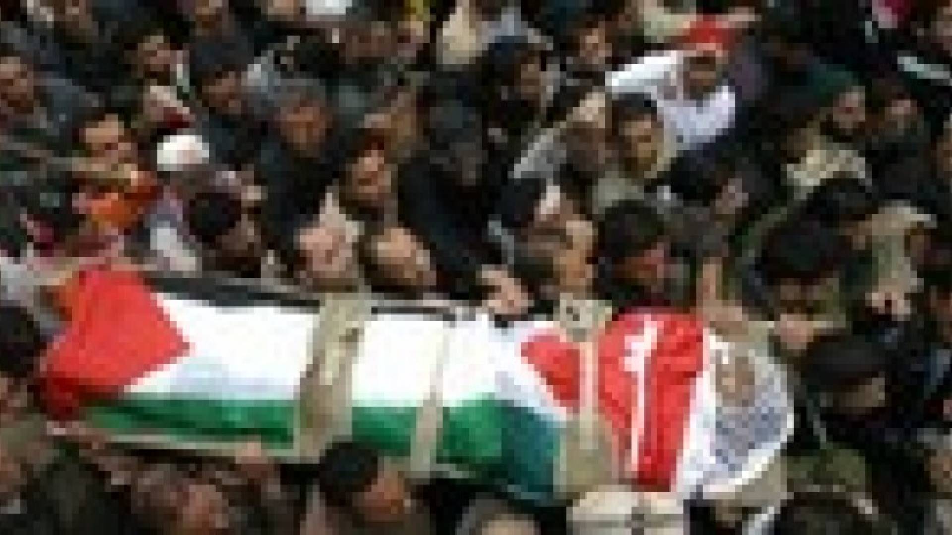 574 شهيدا و 3460 جريحا في العدوان على غزة