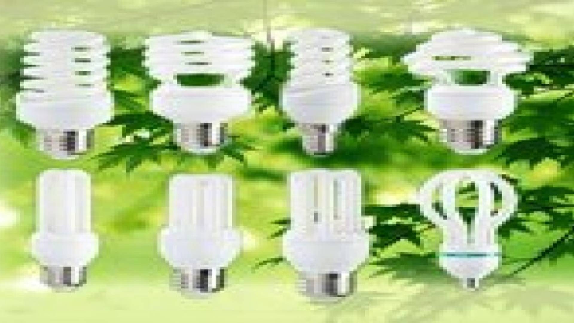 حظر استيراد الكهربائيات غيــر المـوفــرة للطـاقـــة