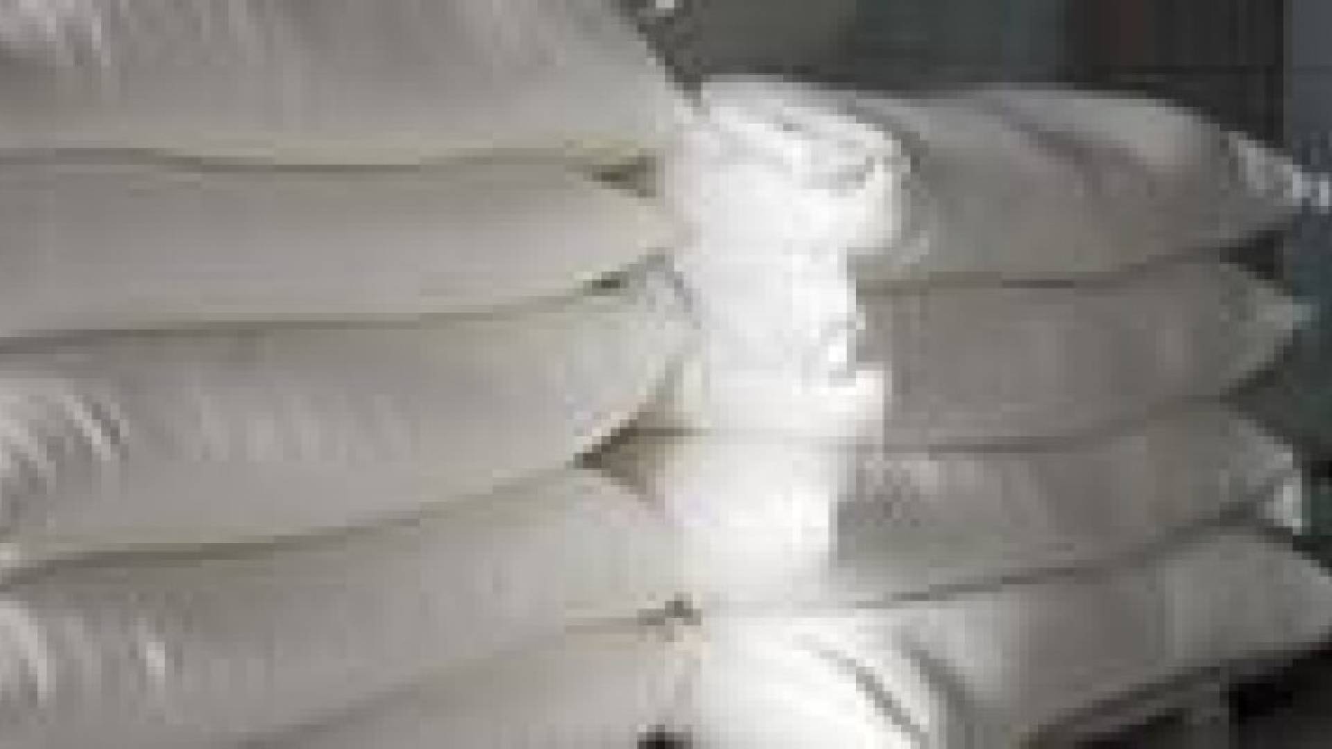 الحموي: ارتفاع استهلاك الطحين الحر في رمضان 25 %