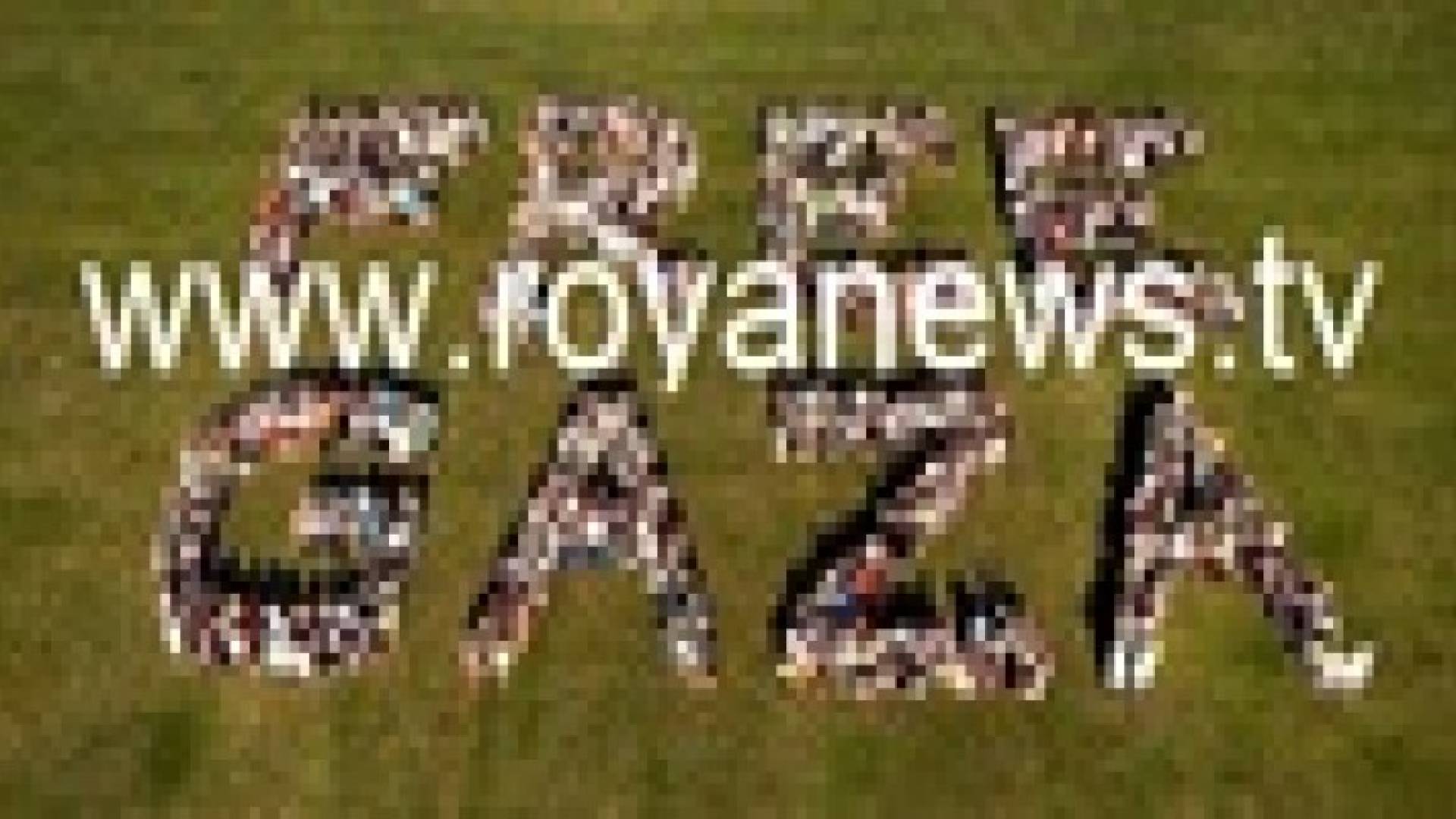 1000 مواطن دنماركي يكتبون في اجسادهم الحرية لغزة