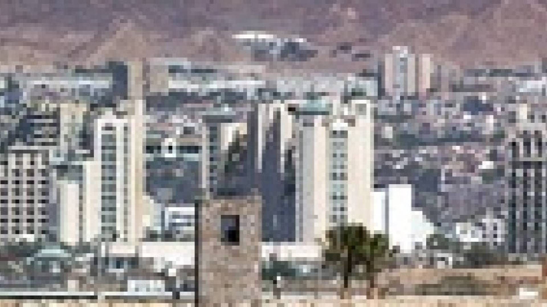 100% نسبة حجوزات الفنادق في العقبة