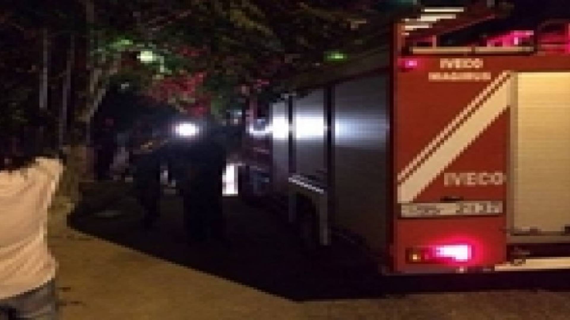 محاولات للإمساك بـ " قرد " في ام اذينة .. فيديو