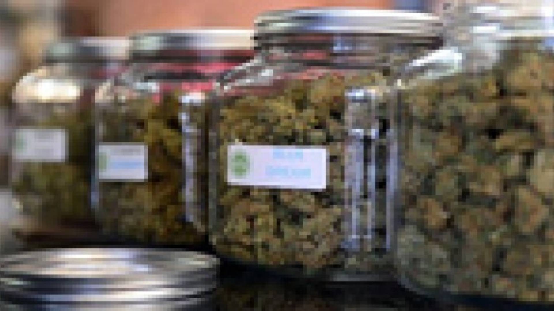 نيويورك تايمز تطالب بتشريع الحشيشة