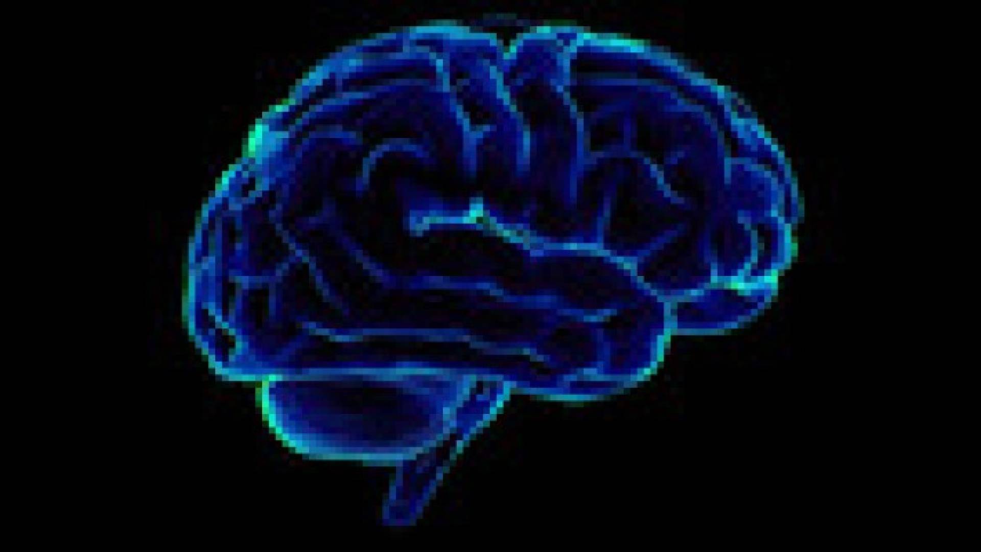 العثور على "زر تشغيل/ إطفاء" الشهية في دماغ الانسان