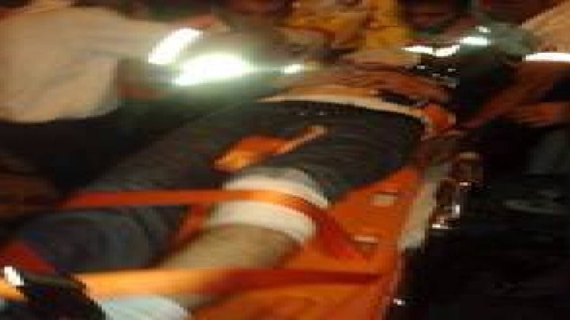 4 شهداء في انفجار " عرضي " شمال قطاع غزة