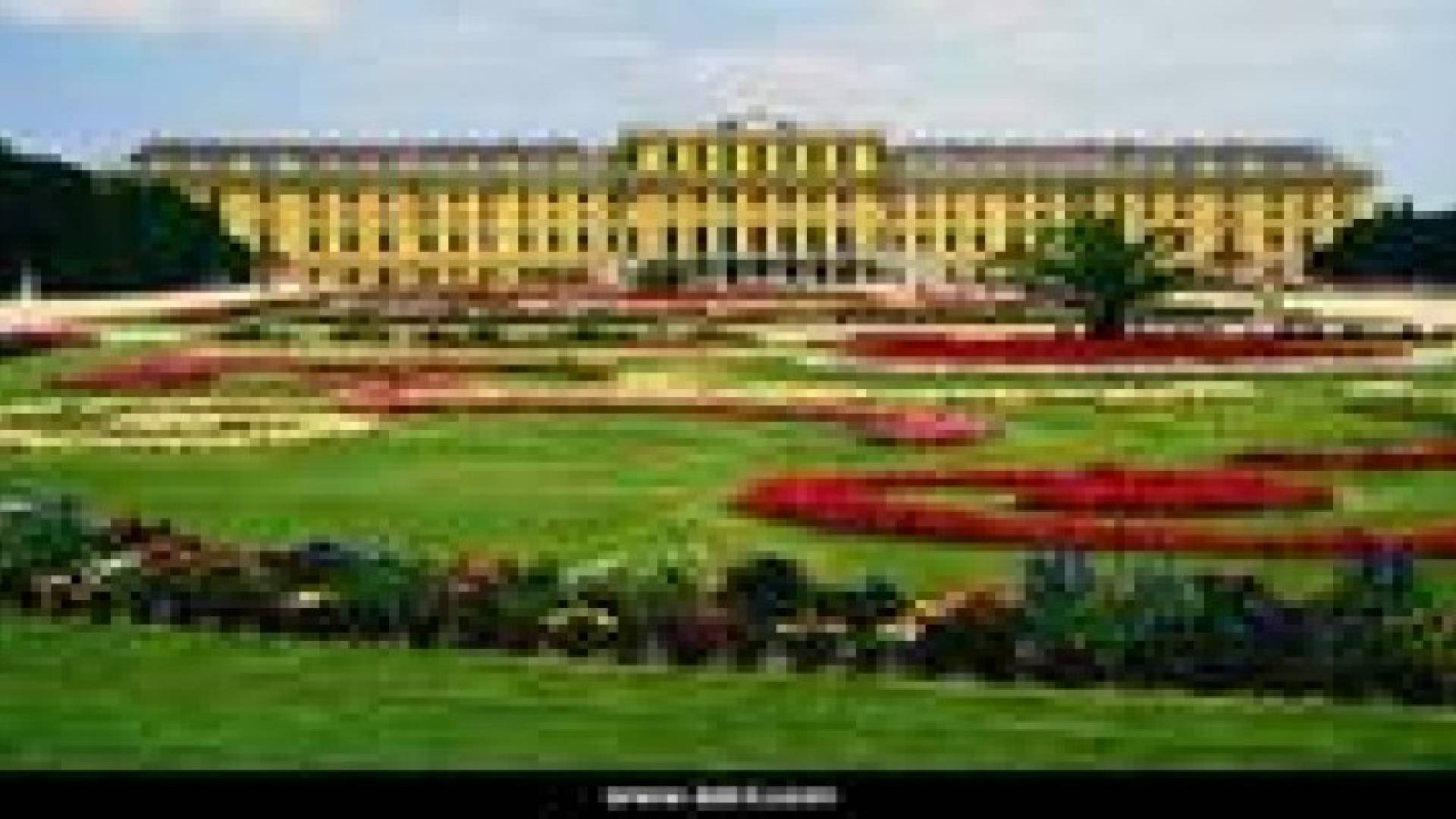 دموع أوروبية تتساقط بفيينا مع عرض فيلم عن "المجازر" الصهيونية في غزة