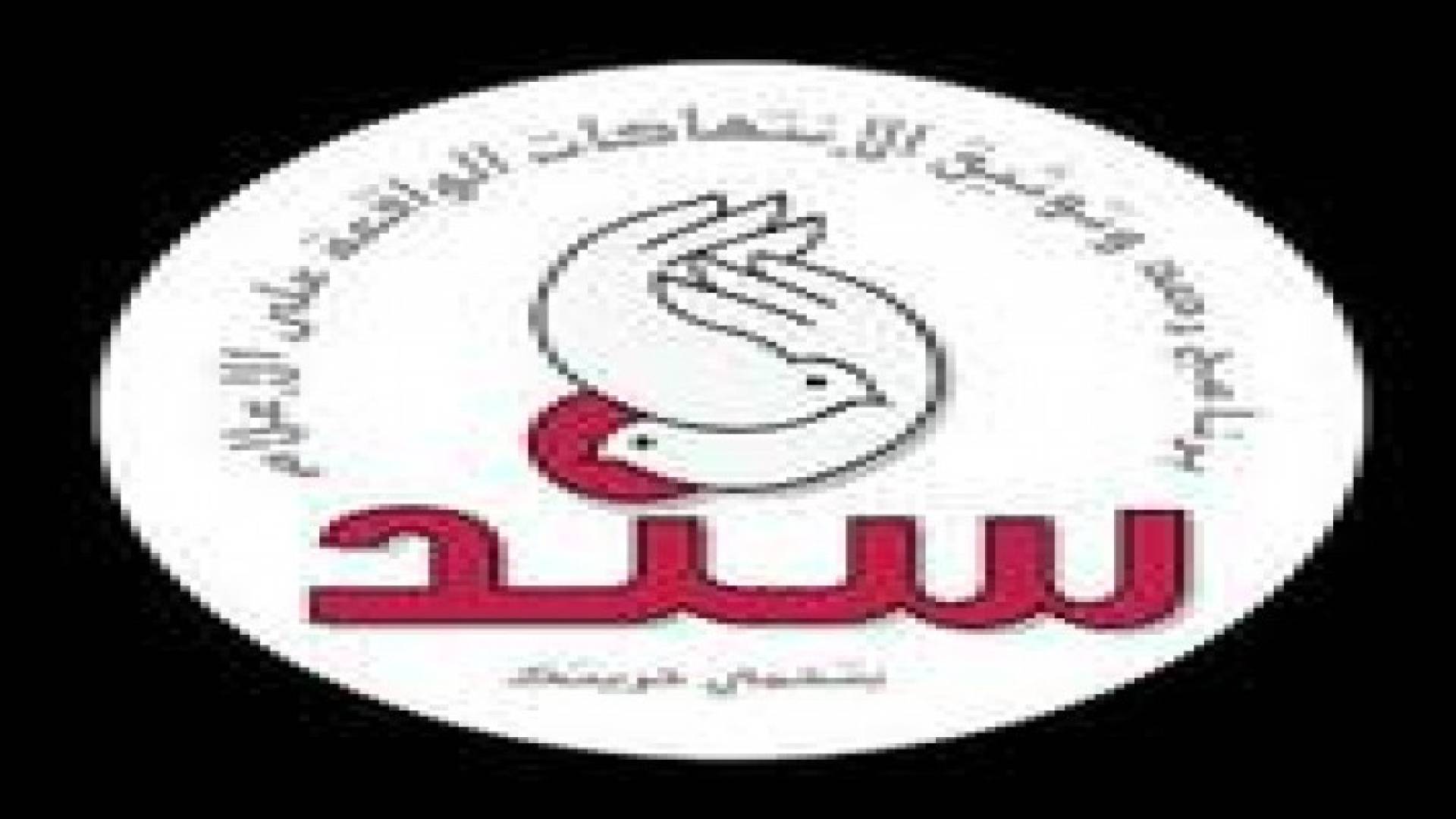 شبكة سند : 270 انتهاكا بحق الصحفيين بالعالم العربي الشهر الماضي