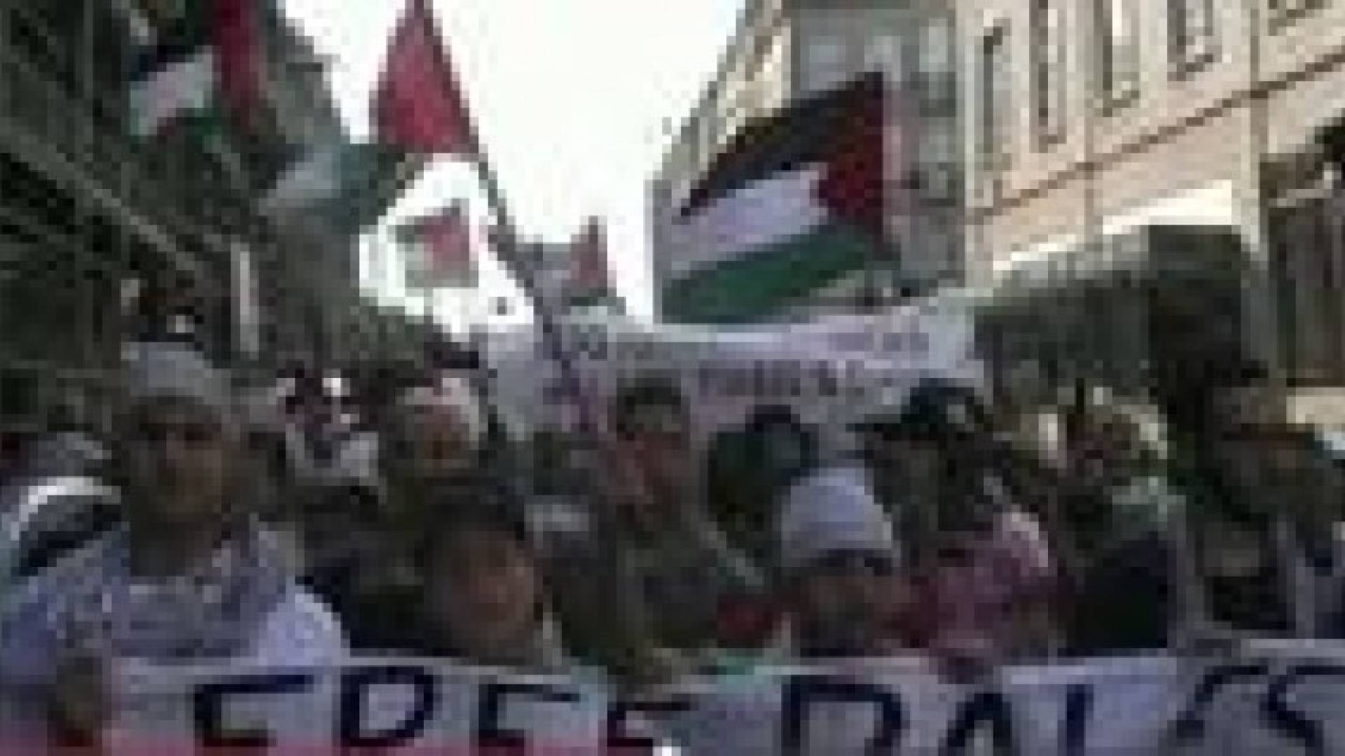 الدنمارك مسيرة حاشدة تنديدا بالعدوان على غزة  فيديو