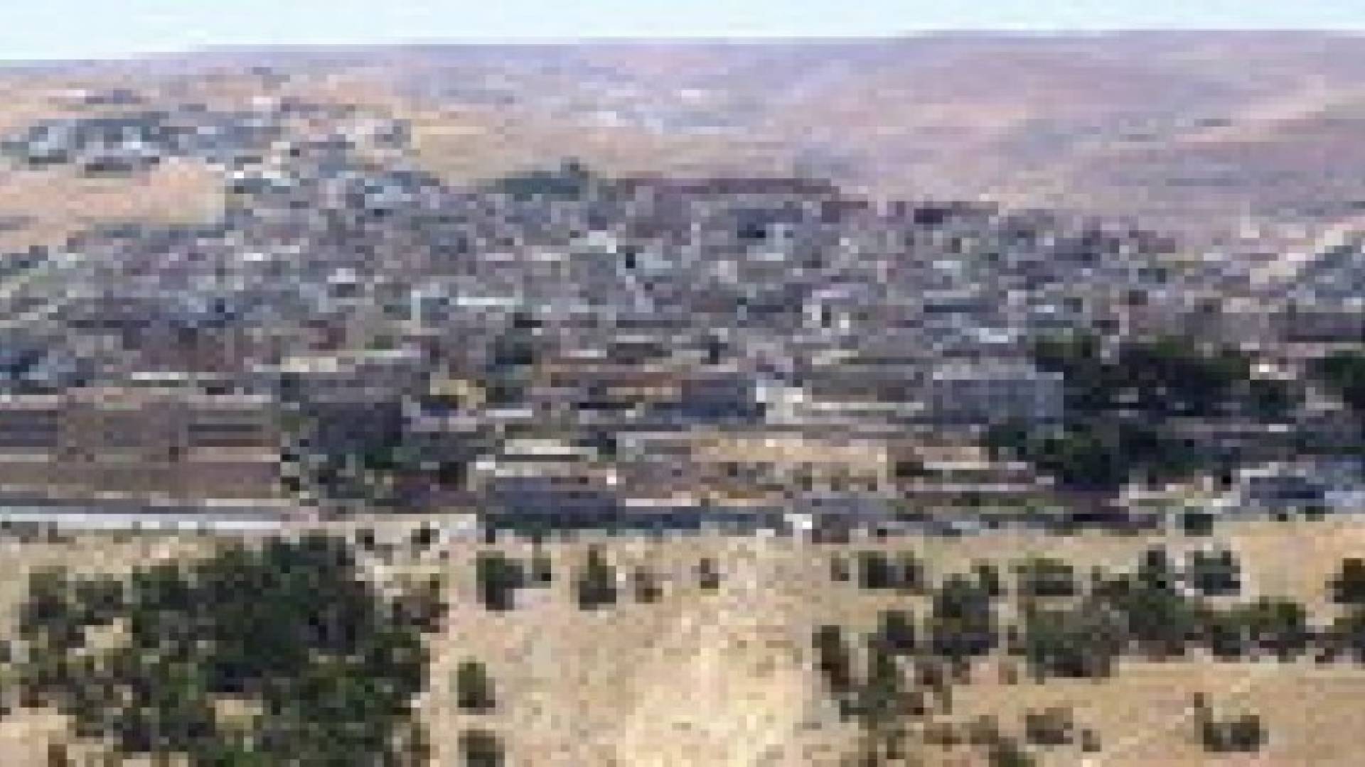 جرثومة الشاقيلا سبب إصابات التسمم الغذائي في منطقة الشهابية