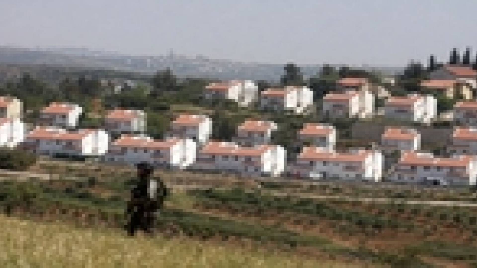 توقف تصدير منتجات اللحوم المنتجة في الاحتلال إلى أوروبا بسبب المقاطعة