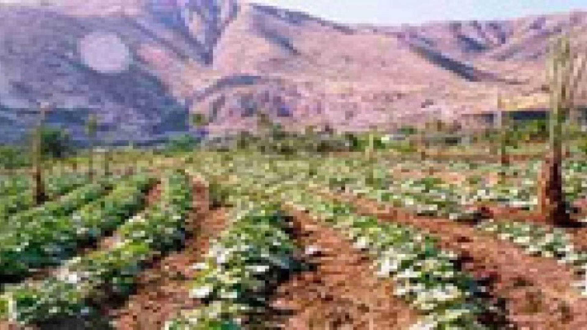 تمليك 180 دونم بمنطقة المطل لأهالي الشوبك