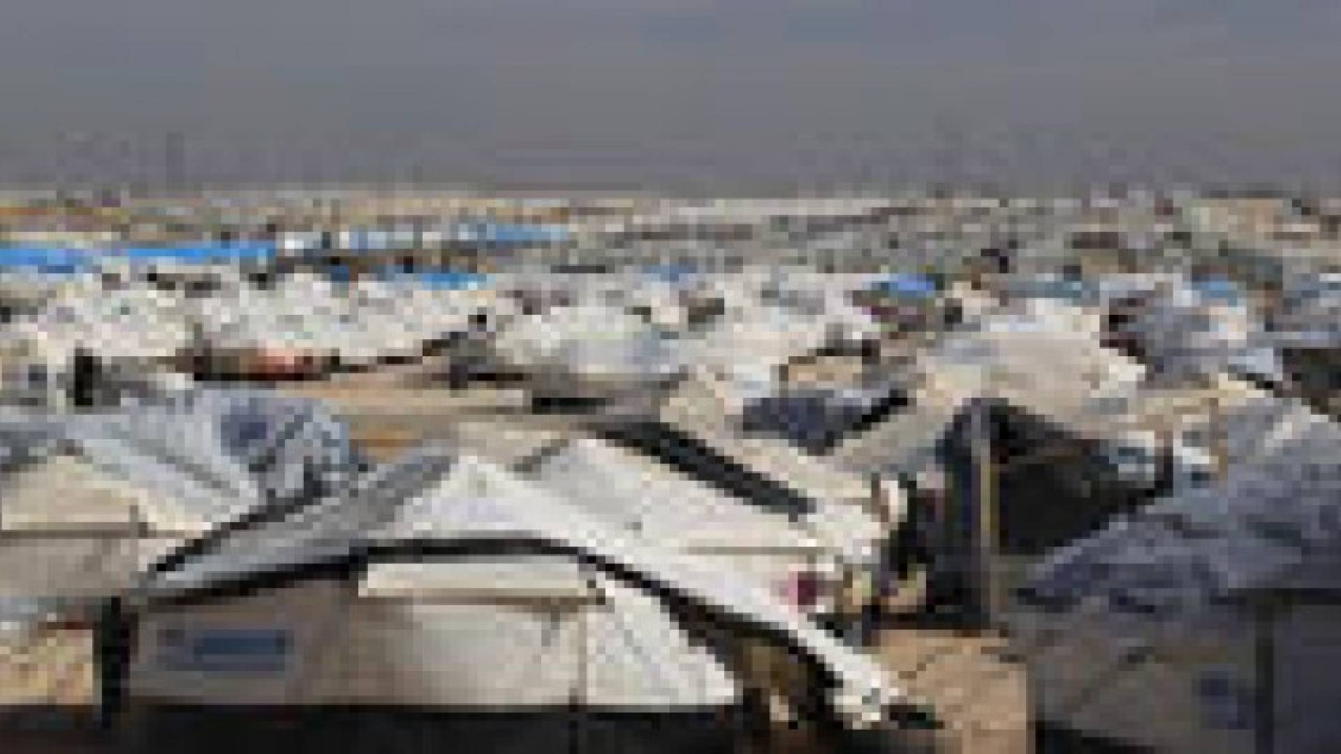 ربع مليون رغيف خبز للاجئي (الأزرق) و (الزعتري) يوميا