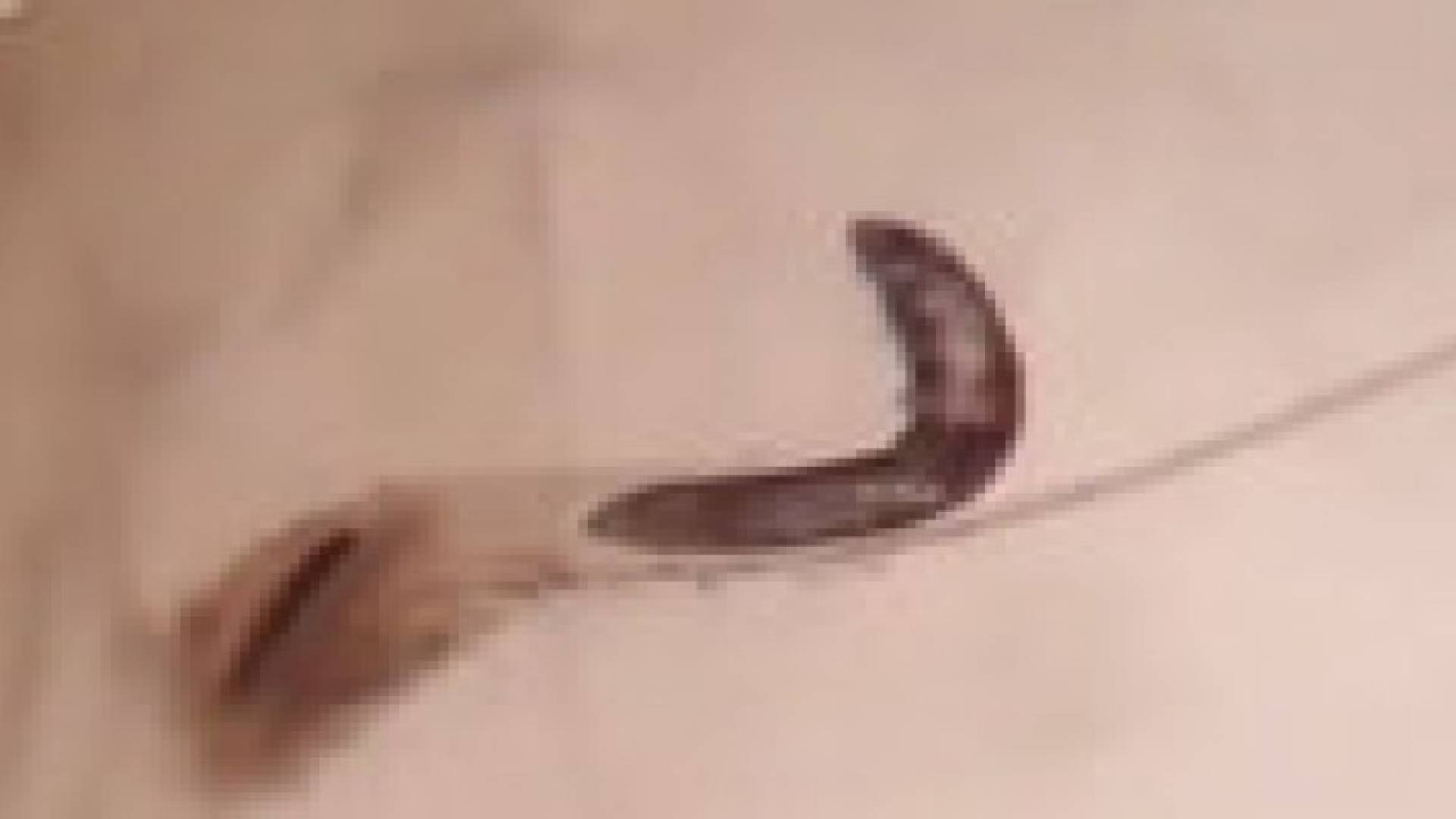 مخلوقات بثماني أرجل على وجوه كل البشر .. فيديو