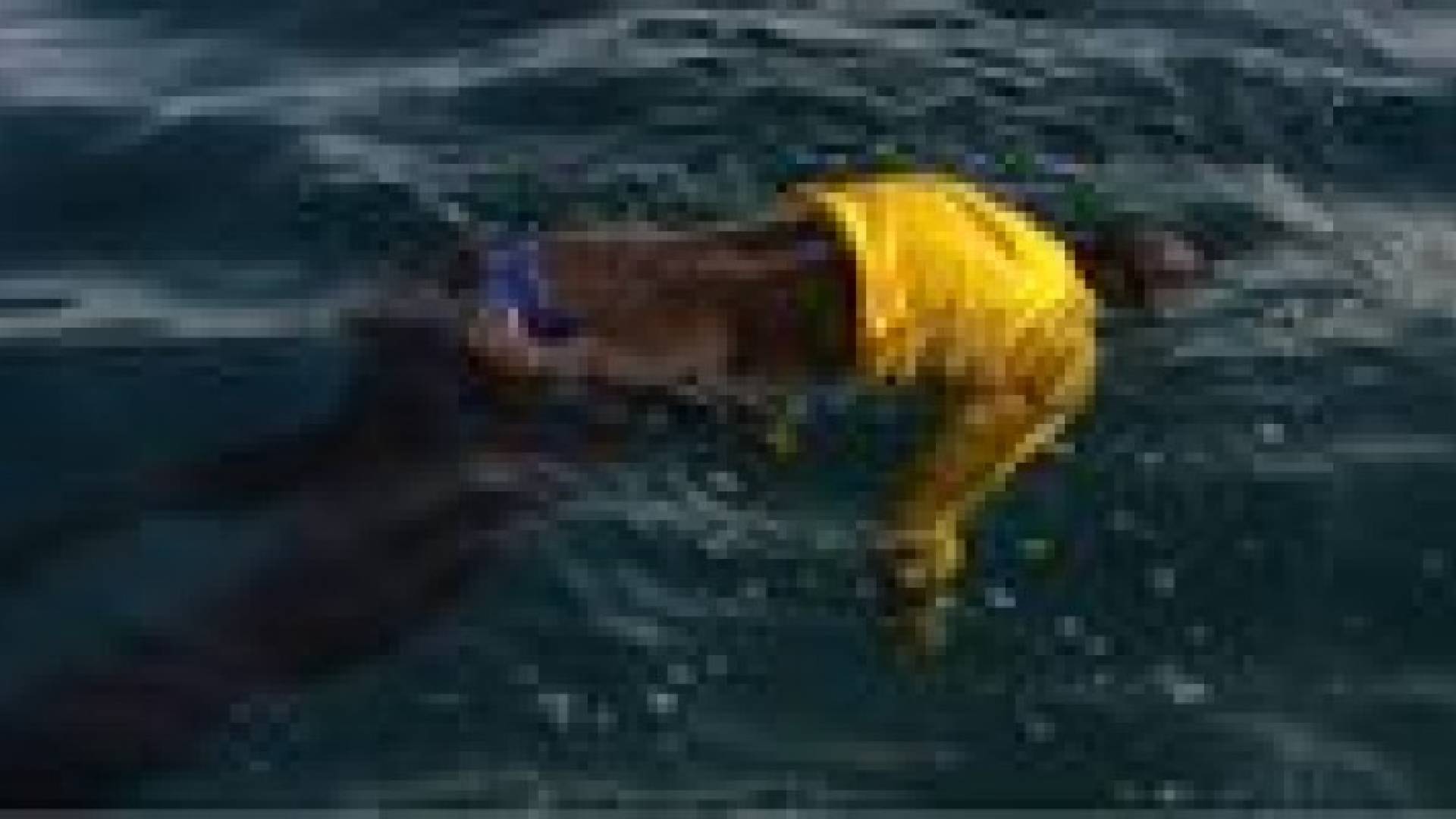 "تسونامي" جثث مجهولة على سواحل تونس.. انتشال 17 والحصيلة غير نهائية