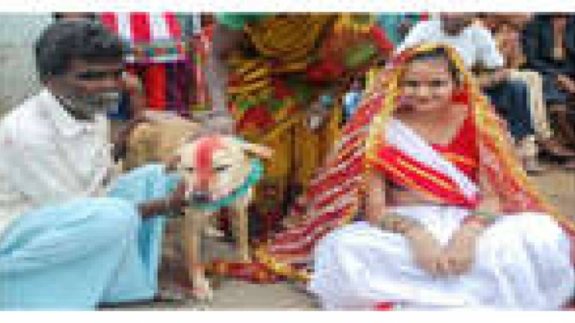 هندية تتزوج بكلب لفك النحس