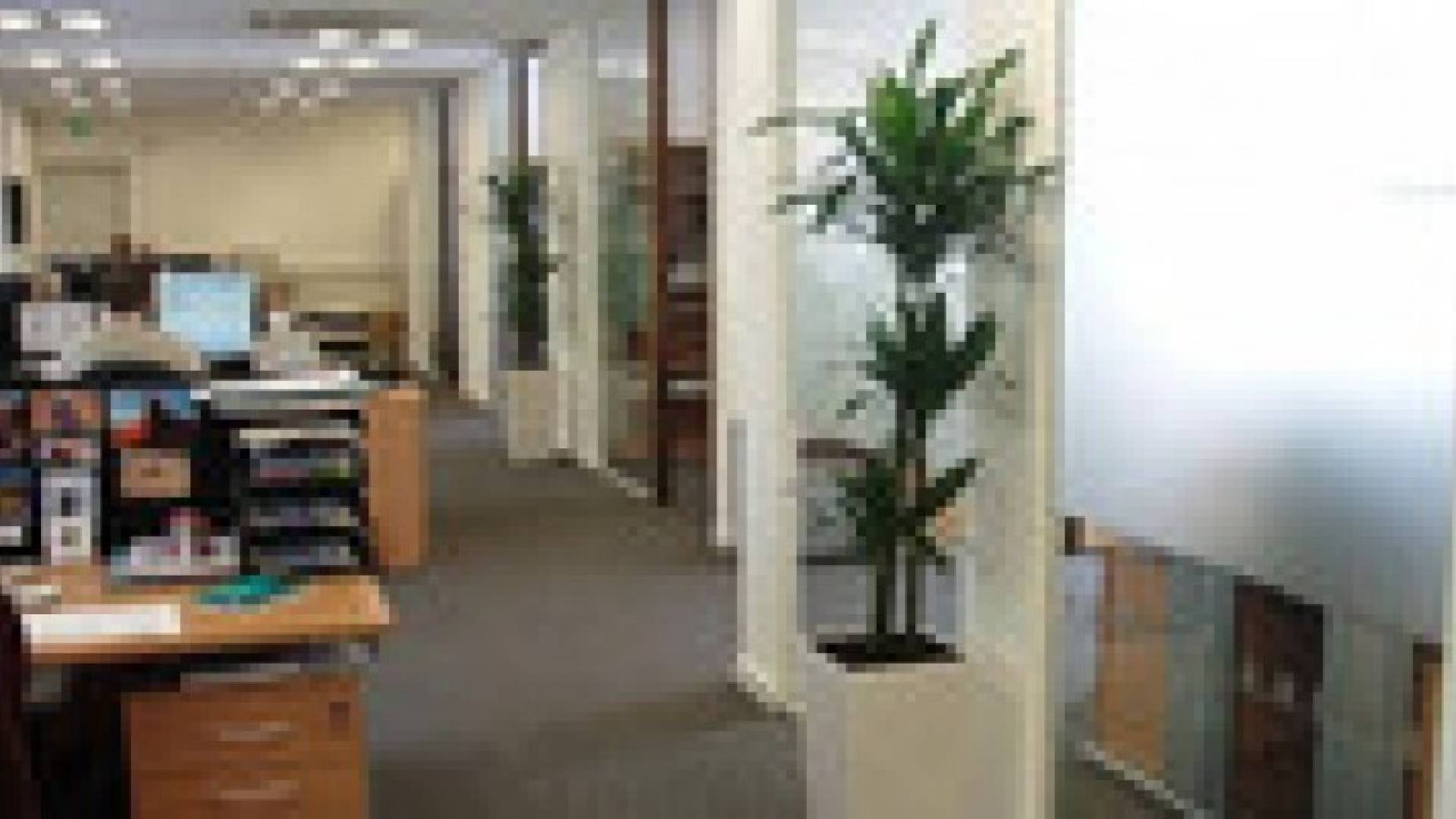 النباتات في مكان العمل تزيد نسبة تركيز الموظفين