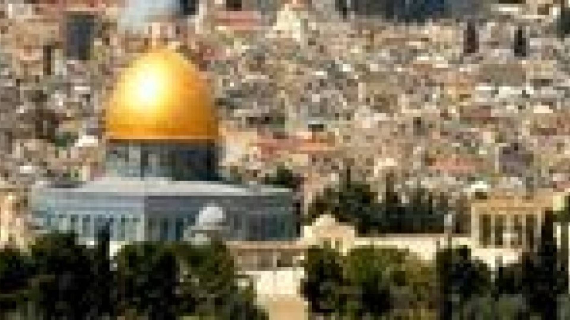 152.5 مليون دولار الدعم الإغاثي العربي والإسلامي لفلسطين