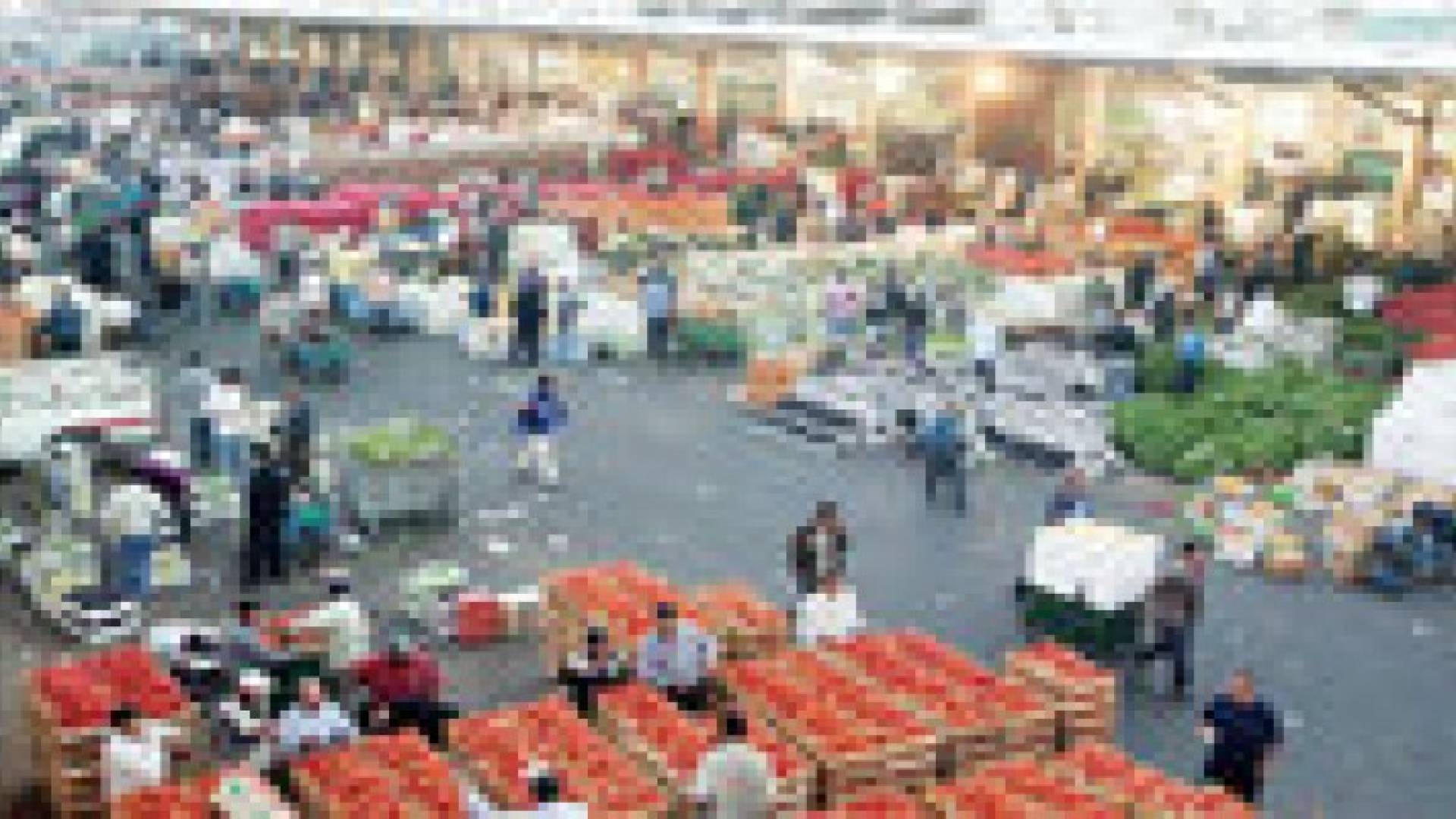 أسعار المنتجين الزراعيين ترتفع 13.9%