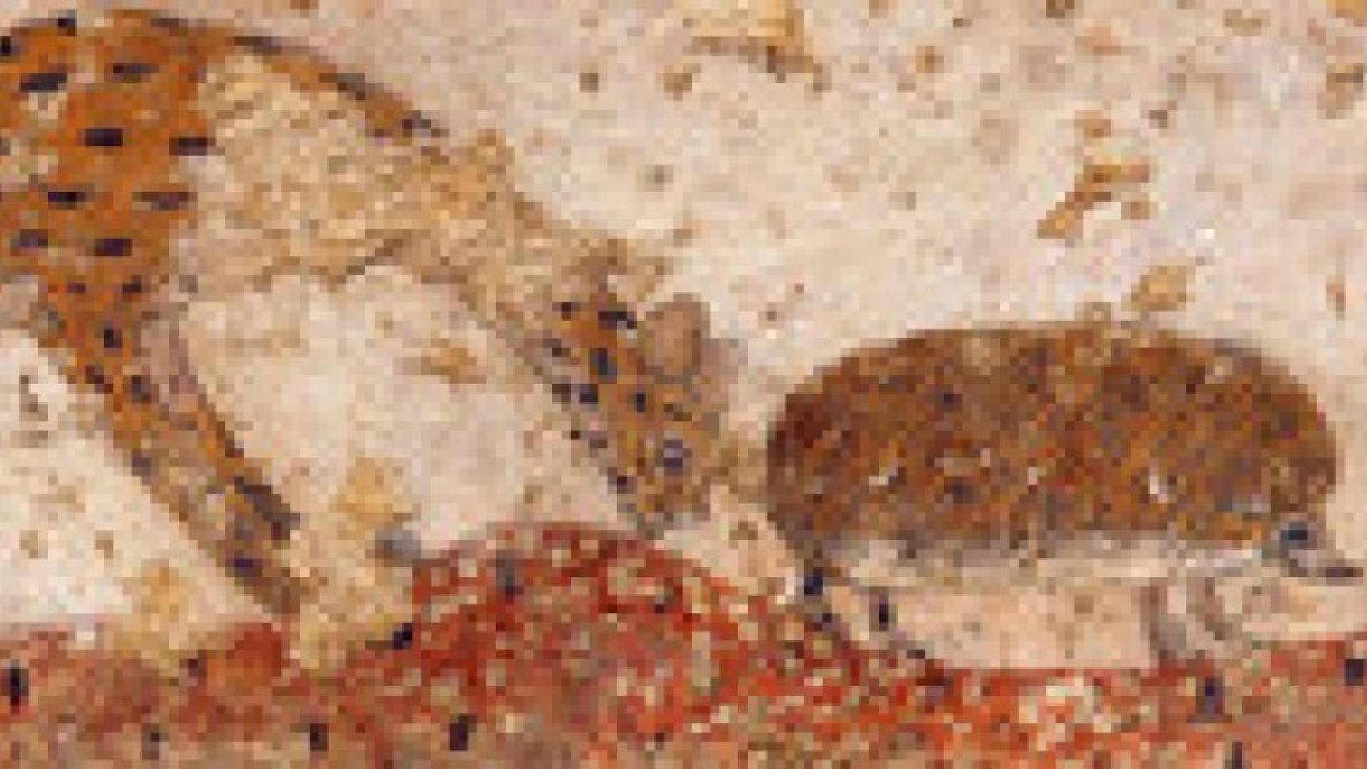 الآثار الفنية تحدد زمن انقراض الحيوانات في مصر القديمة