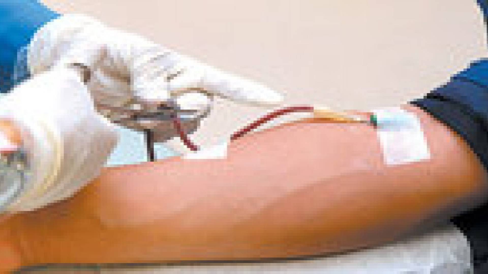 المقابلين : حملة للتبرع بالدم لصالح قطاع غزة
