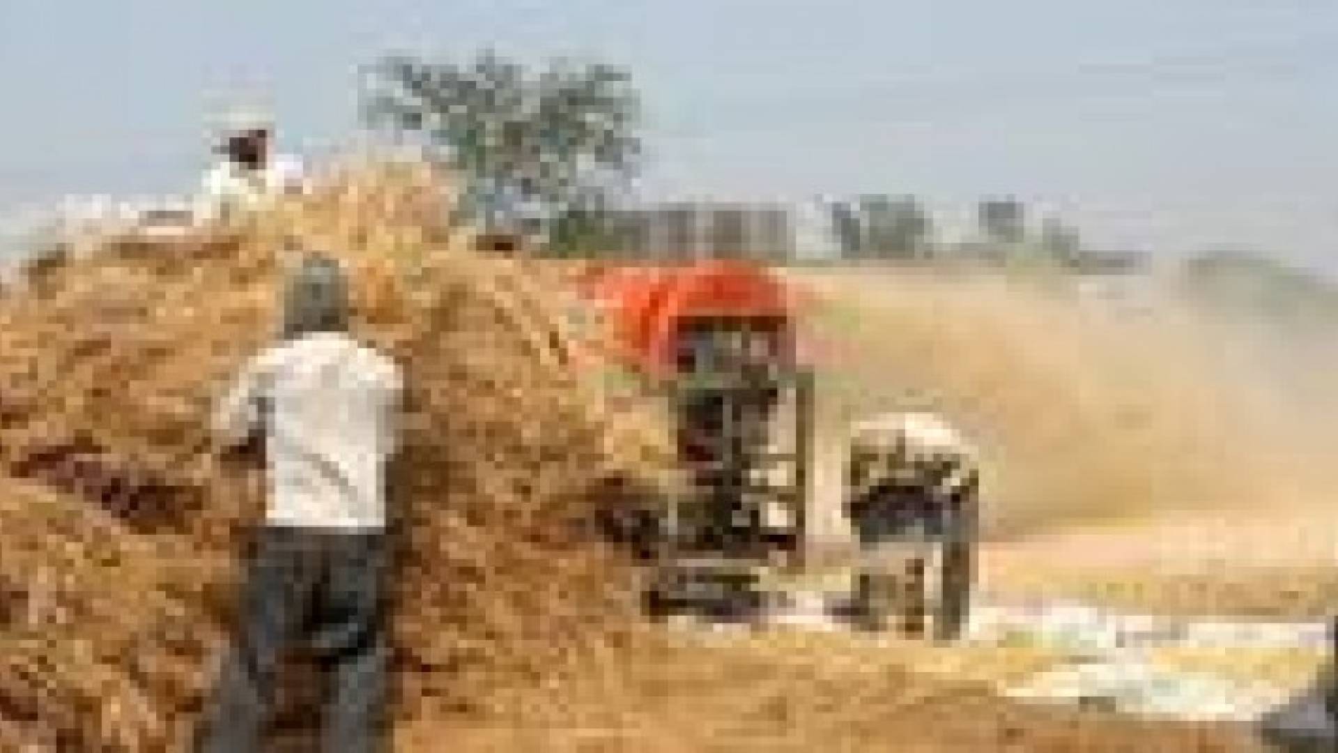 مخزون القمح في الأردن يكفي 12 شهرا