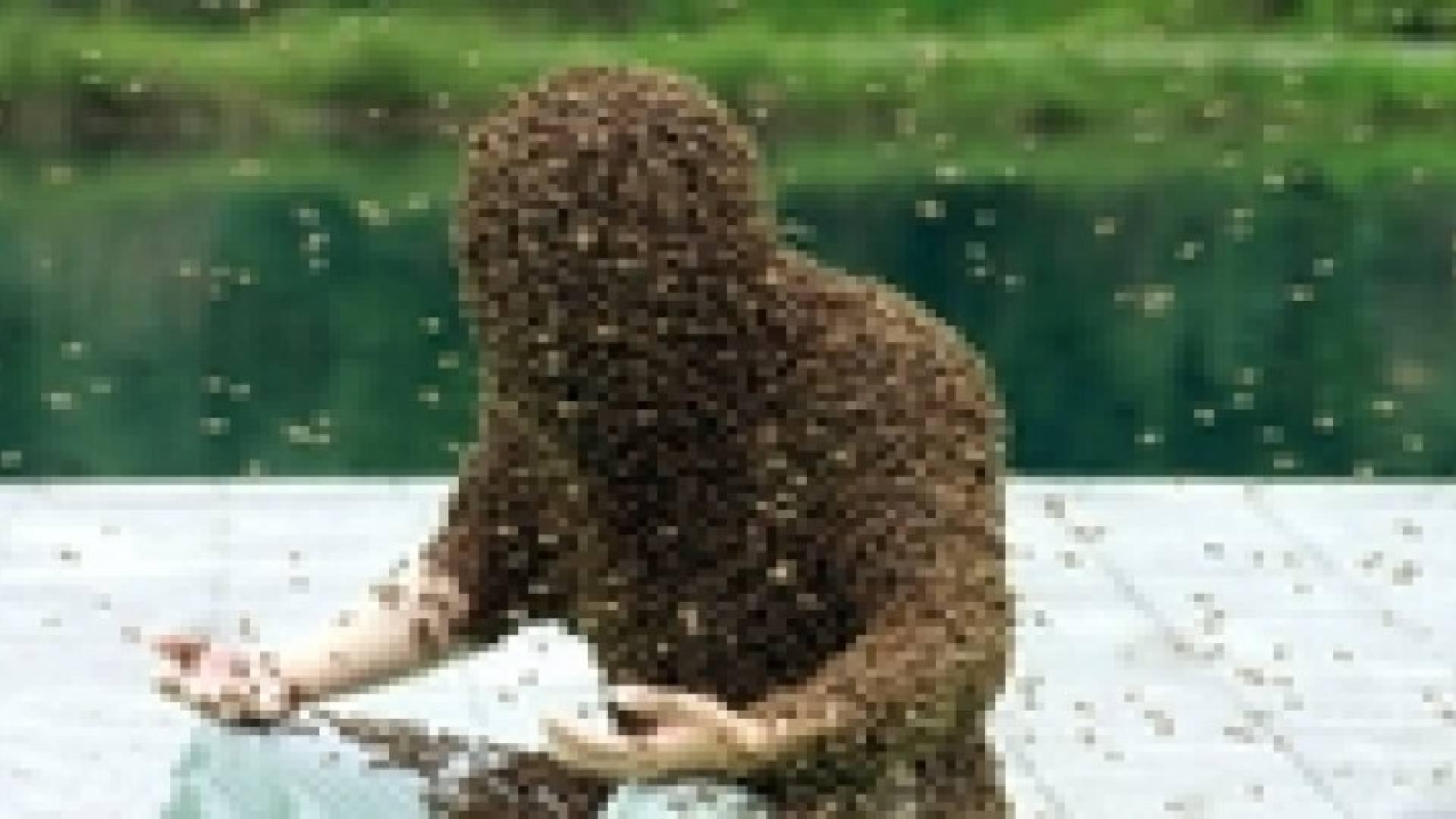 النحل يقتل عاملا فلسطينيا بالنقب