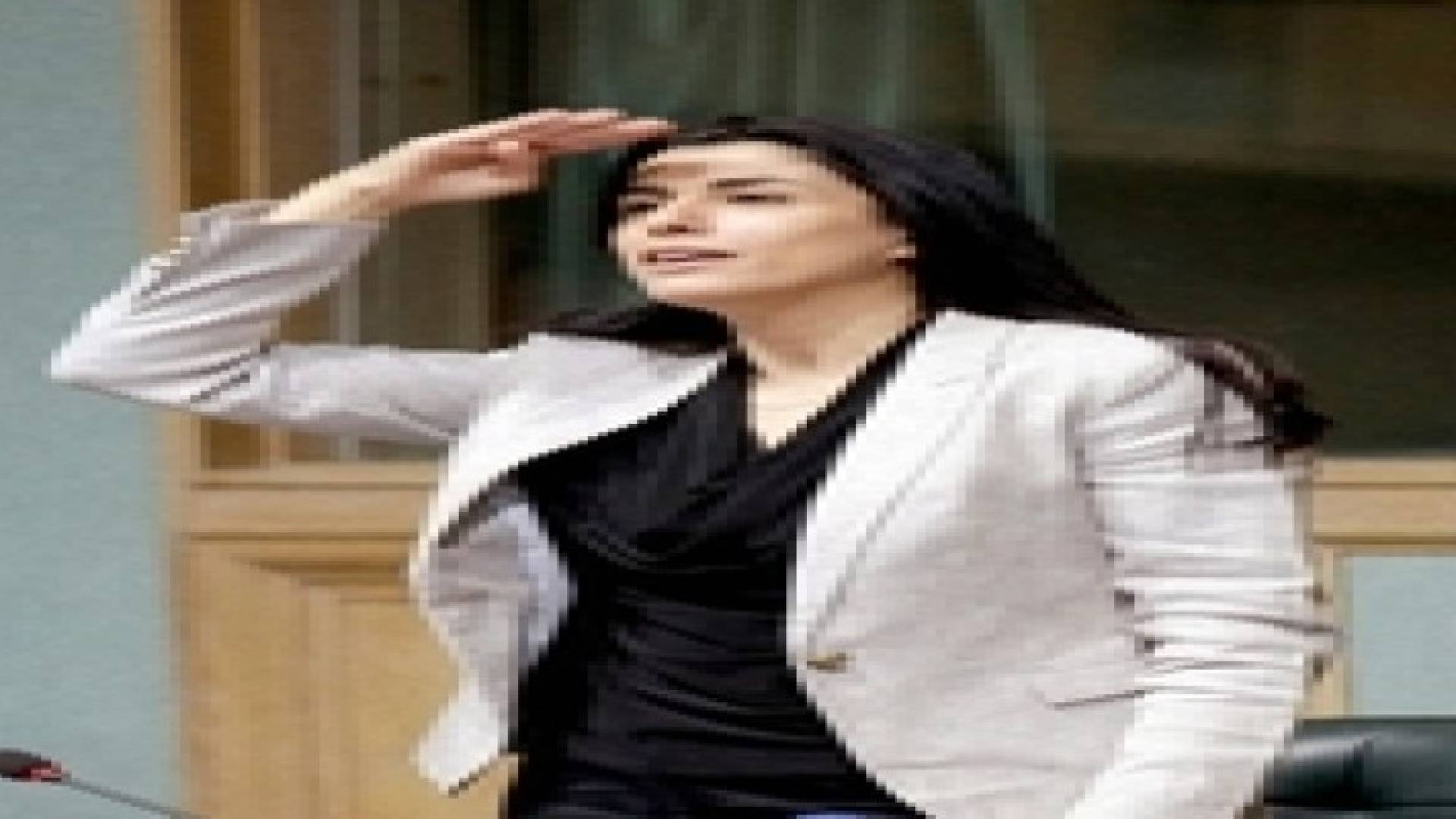 الفايز تدعو المواطنين لمتابعة الاعلام غير الرسمي