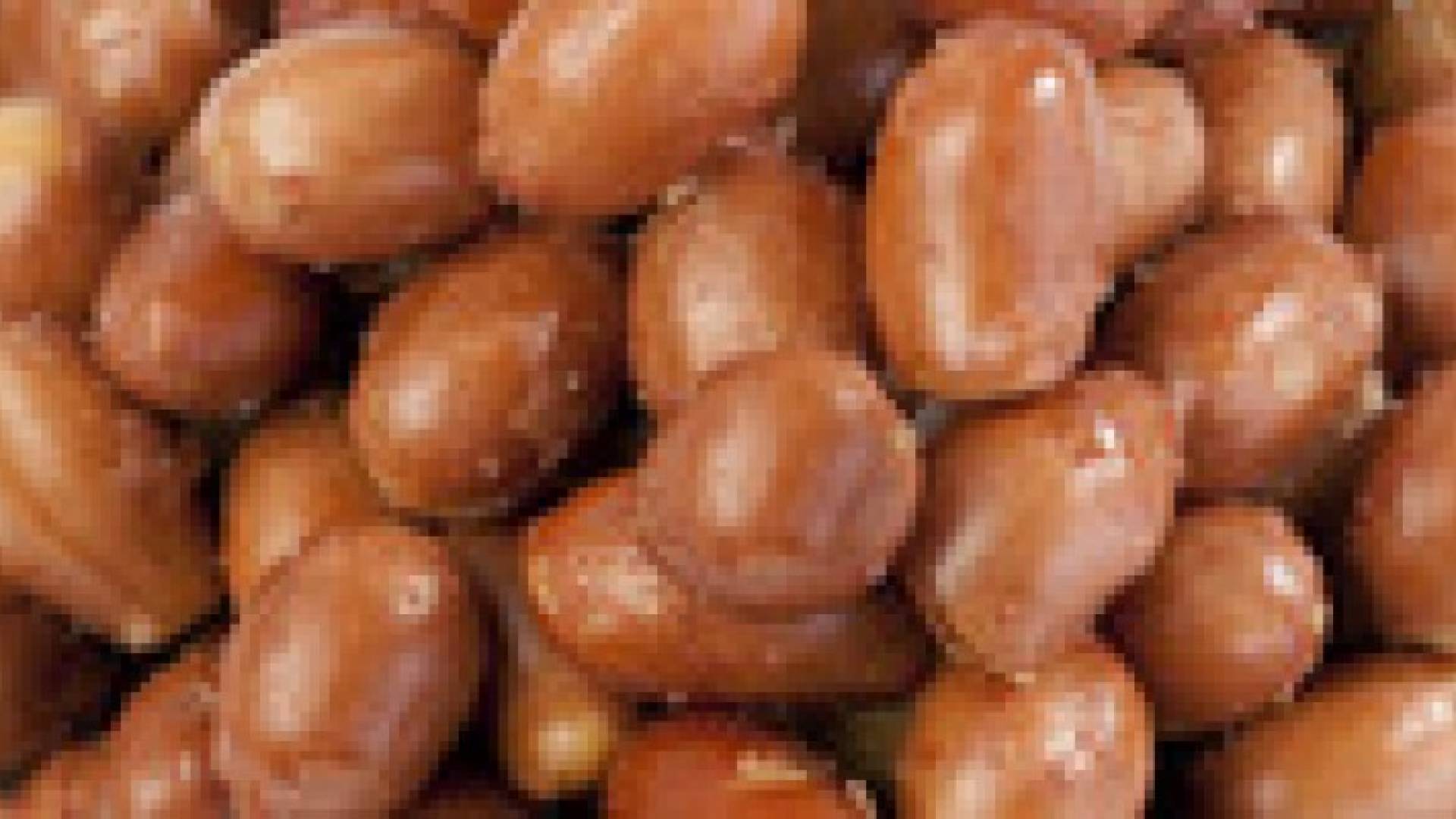 "الفول السوداني المحمص يسبب الحساسية أكثر من الخام"