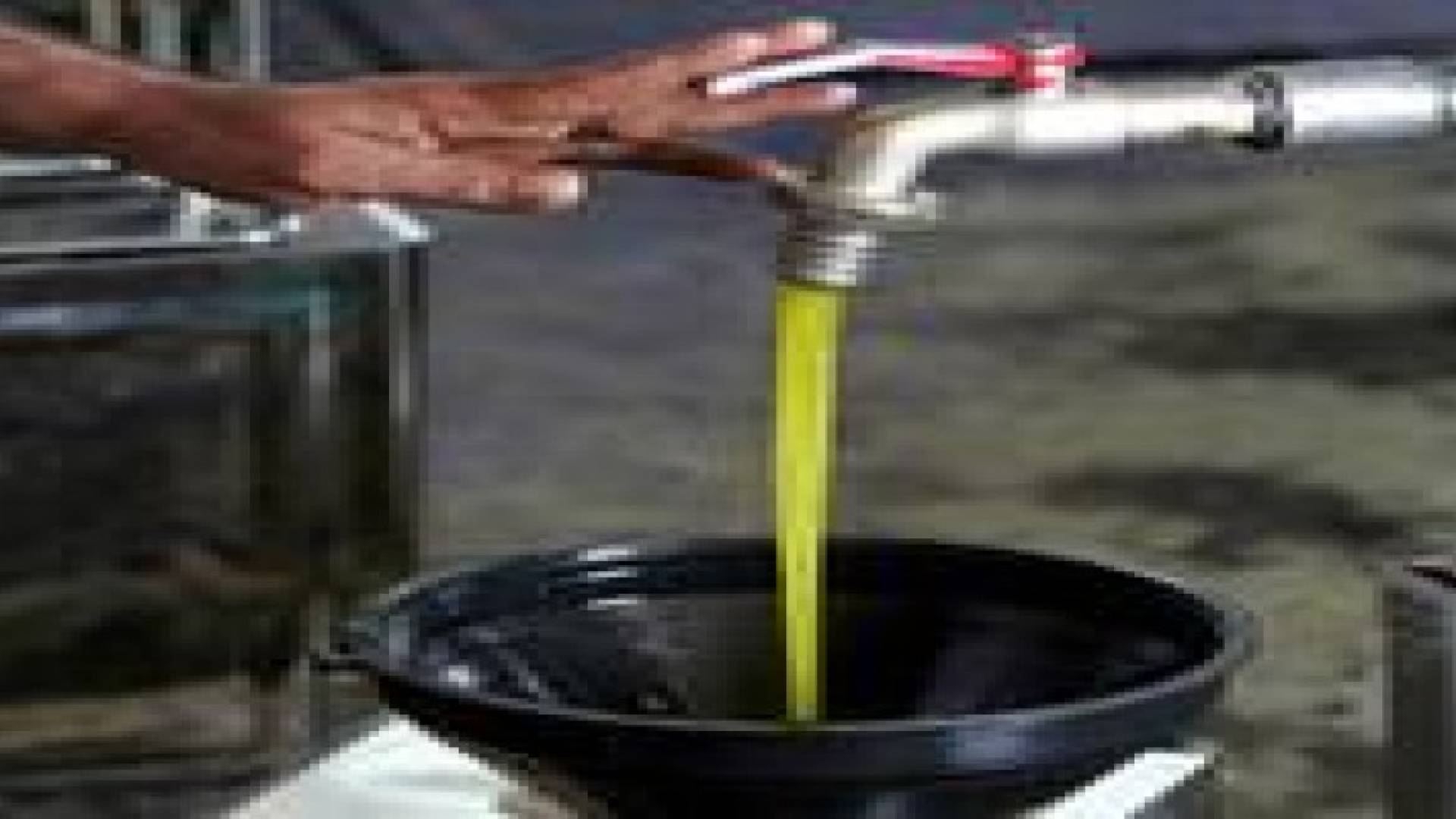 "الزراعة" تدعو للحذر من غش زيت الزيتون