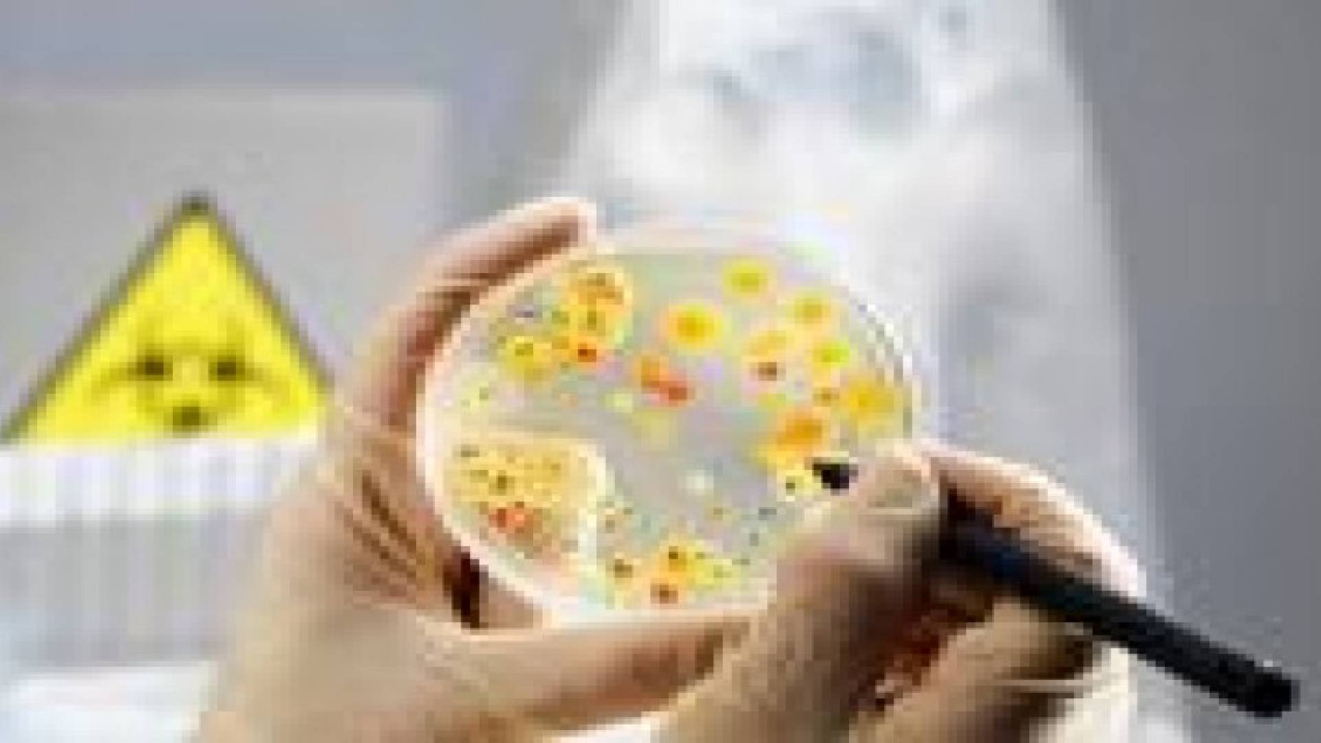 بكتيريا تنتحر بعد ان تلاعب بها علماء