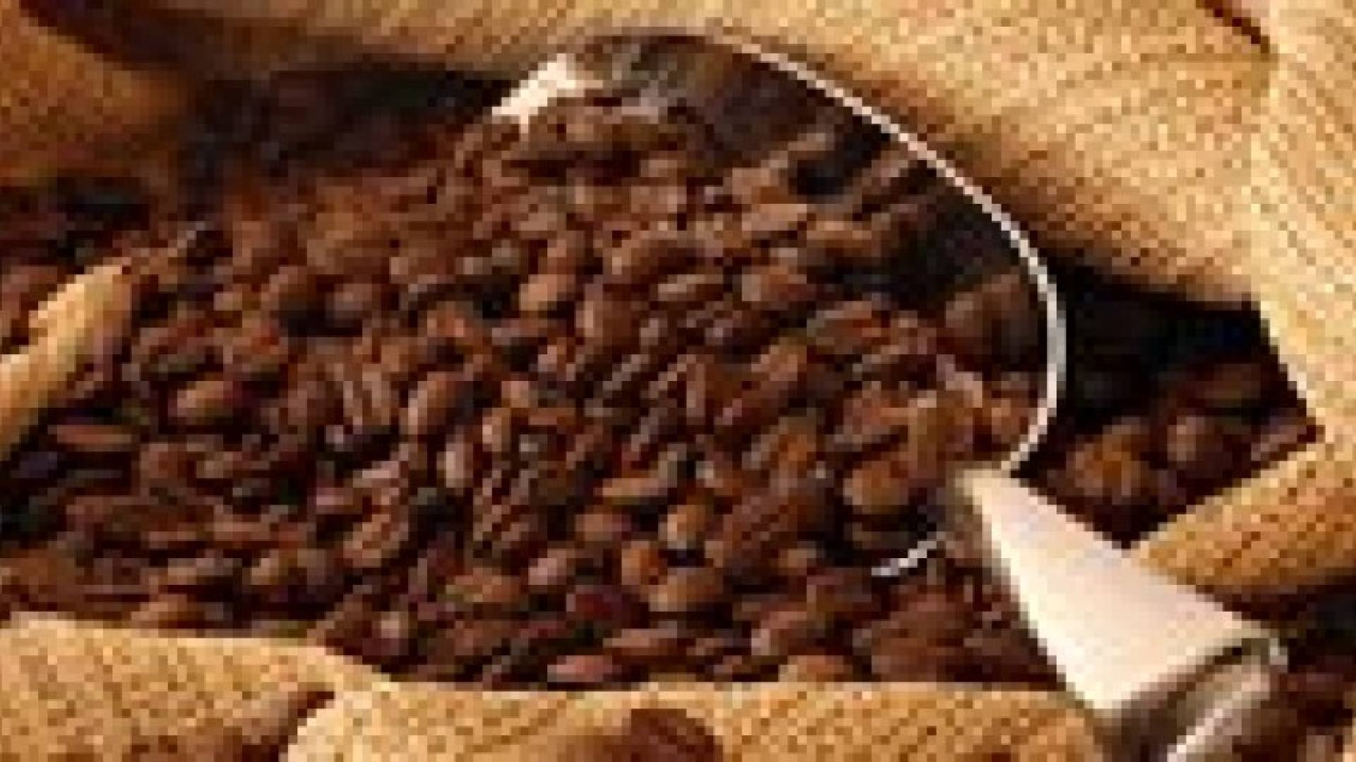 فوائد القهوة في إنقاص الوزن