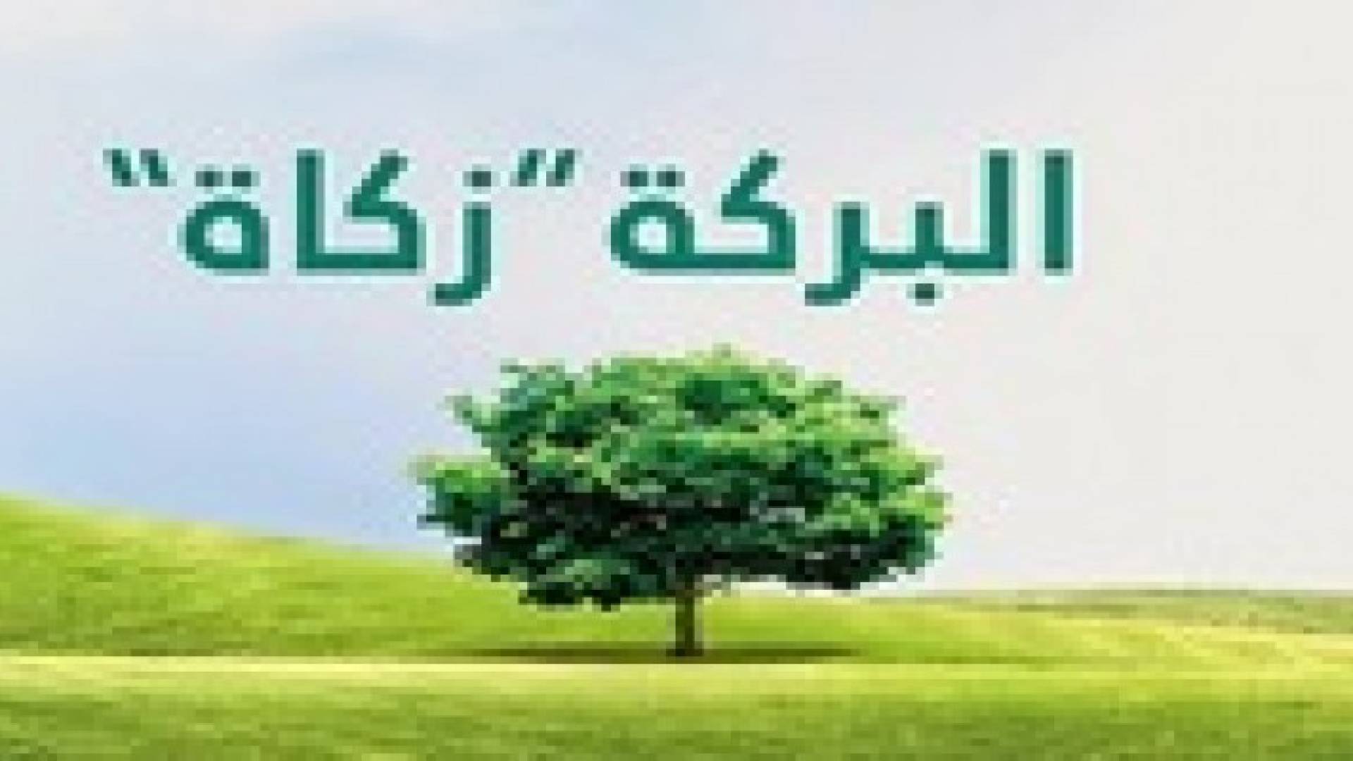 محسن أردني يتبرع بـ 3.6 مليون دينار لصندوق الزكاة