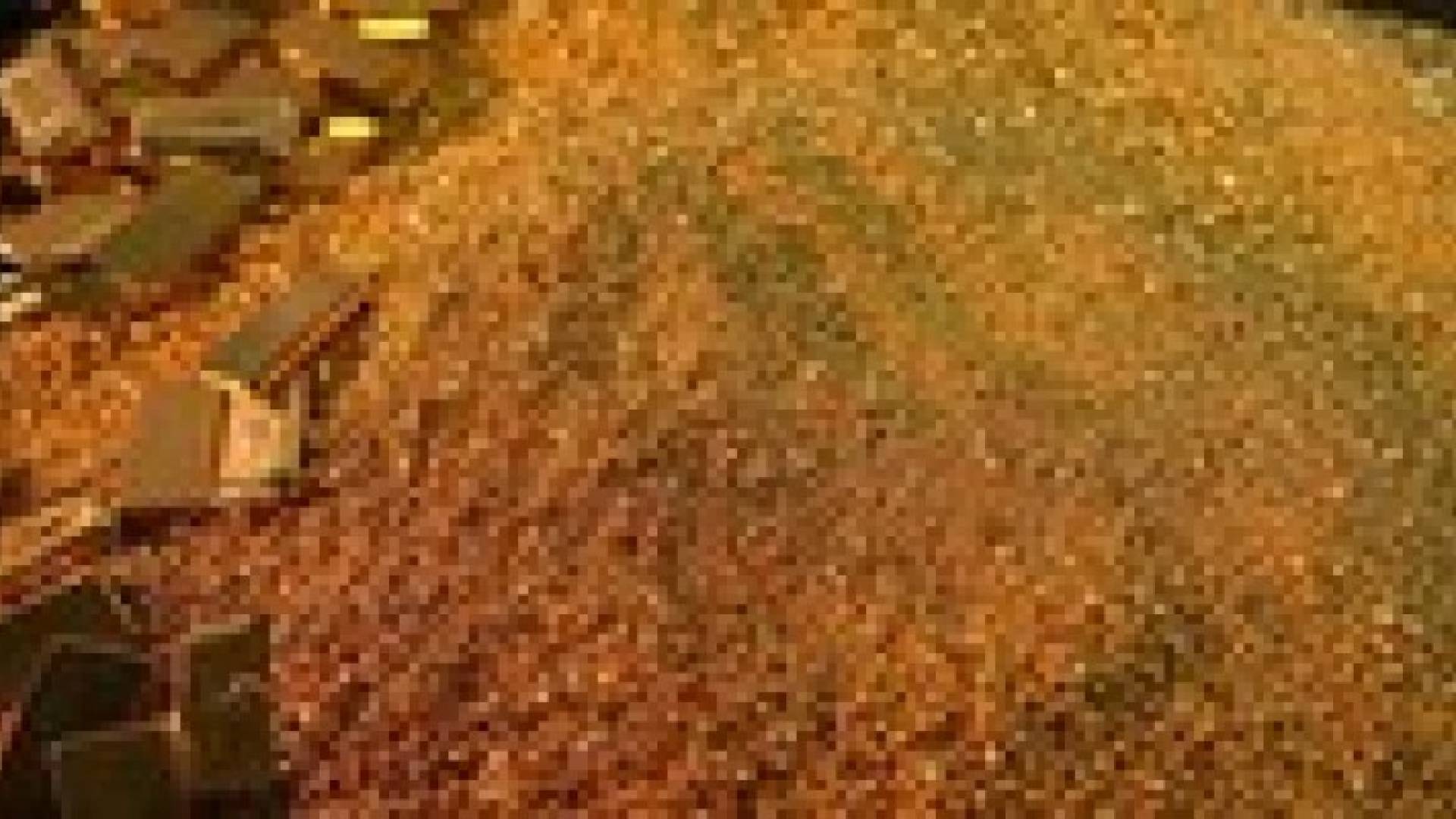 أغلى 14 هبة من الطبيعة