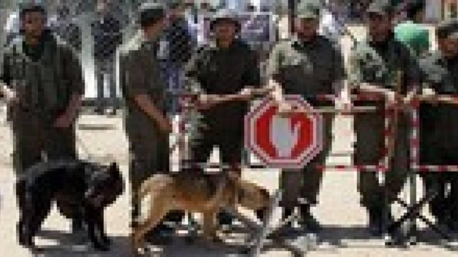 الاحتلال يغلق الضفة الغربية وقطاع غزة
