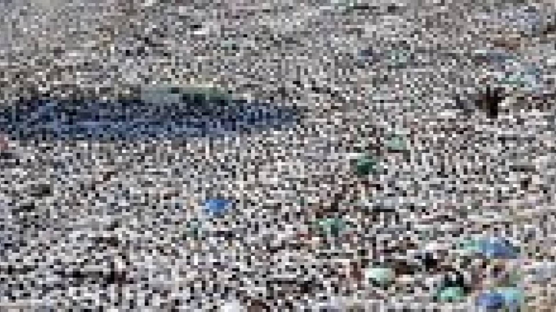 10 مواليد بين الحجاج في الأراضي المقدسة