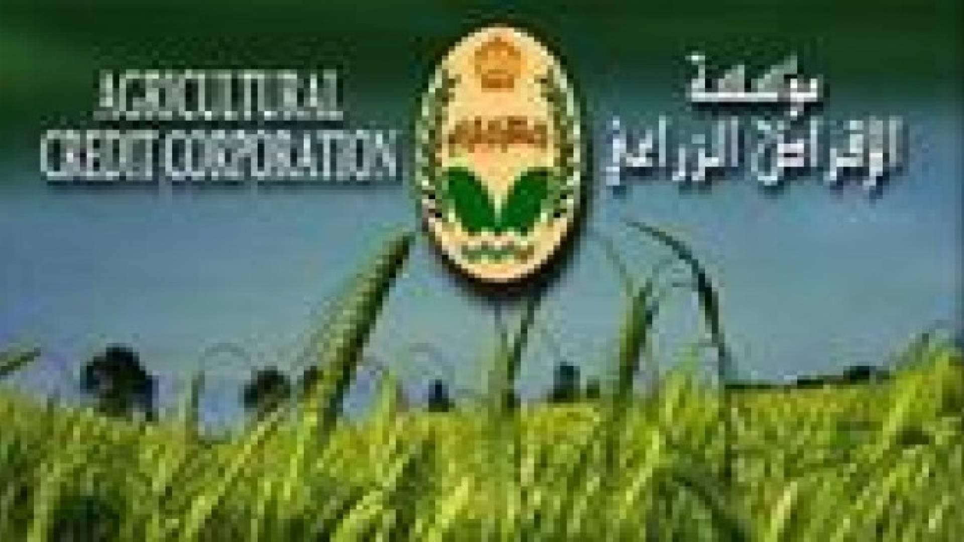 الإقراض الزراعي تقدم 27 مليون دينار خلال العام الحالي