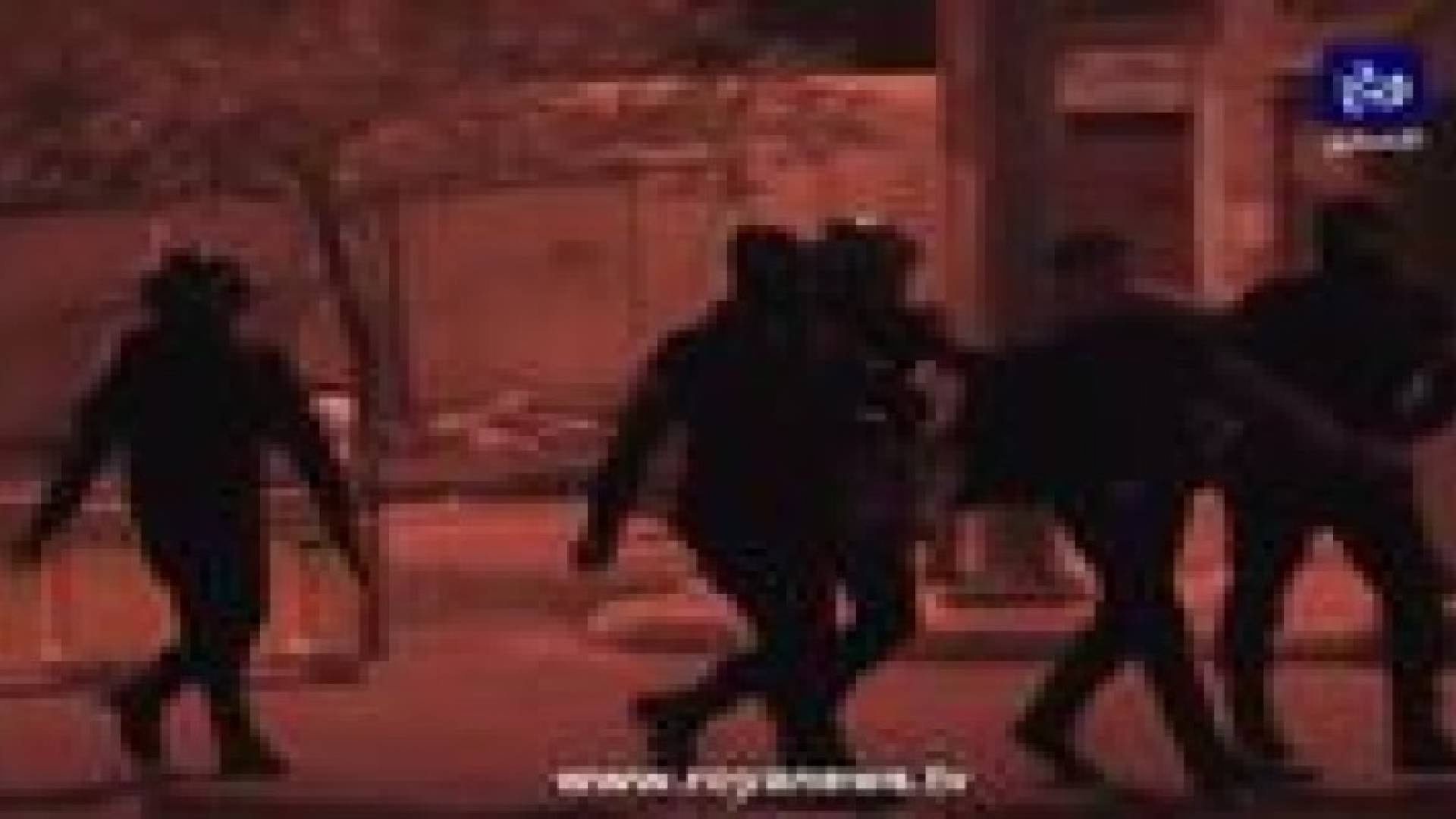 بالفيديو.. حملة إعتقالات واسعة في حي الطفايلة