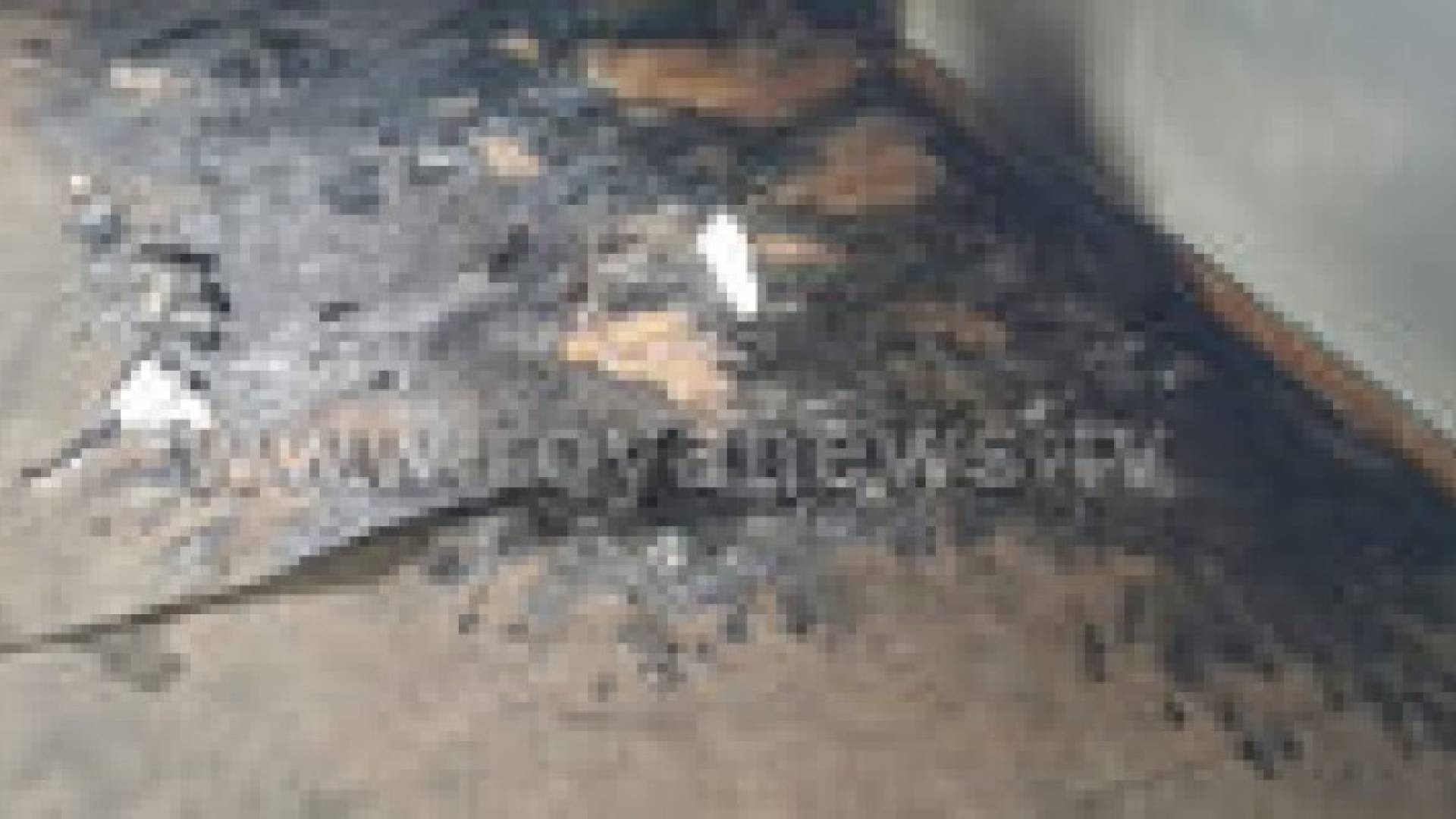 بالصور : مستوطنون يحرقون مسجدا جنوب مدينة نابلس بالضفة الغربية المحتلة