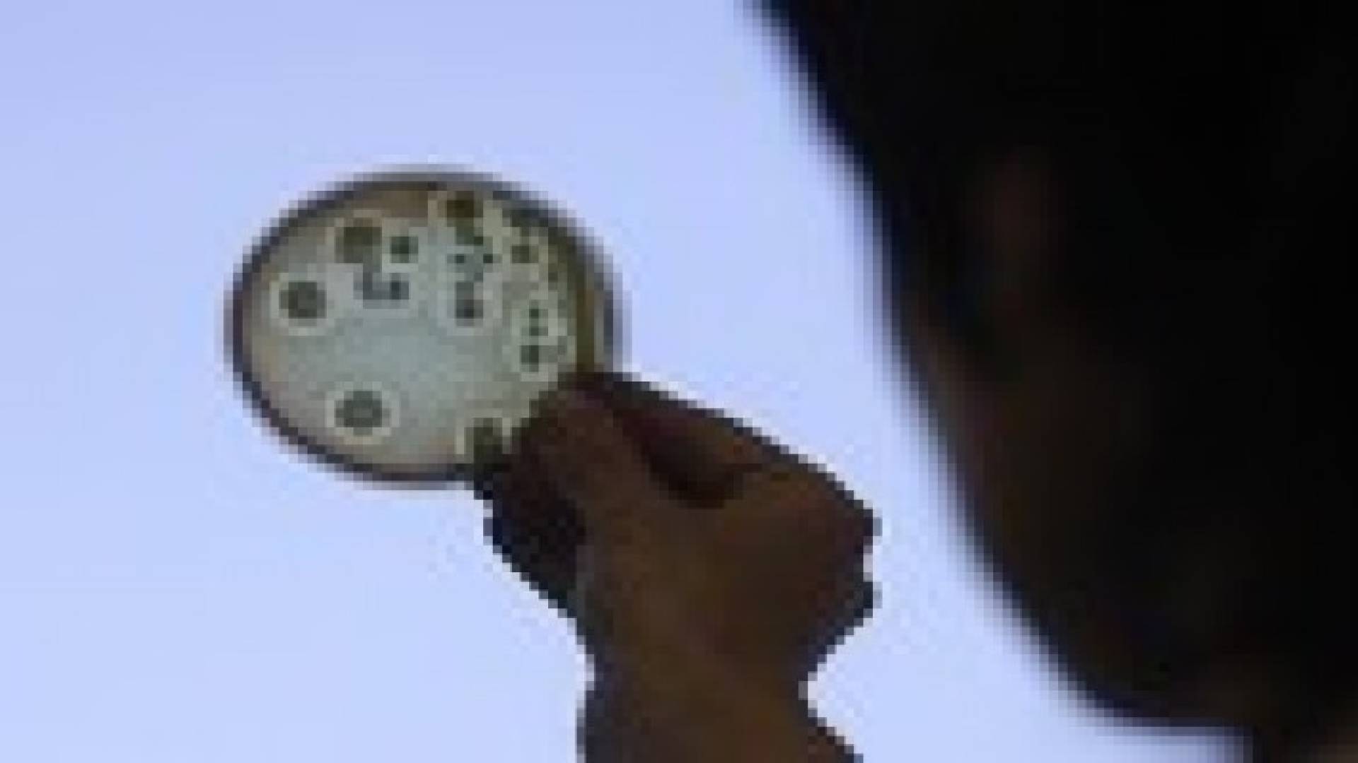 اكتشاف بكتيريا جديدة في بحر اليابان تحلل المواد الكيماوية